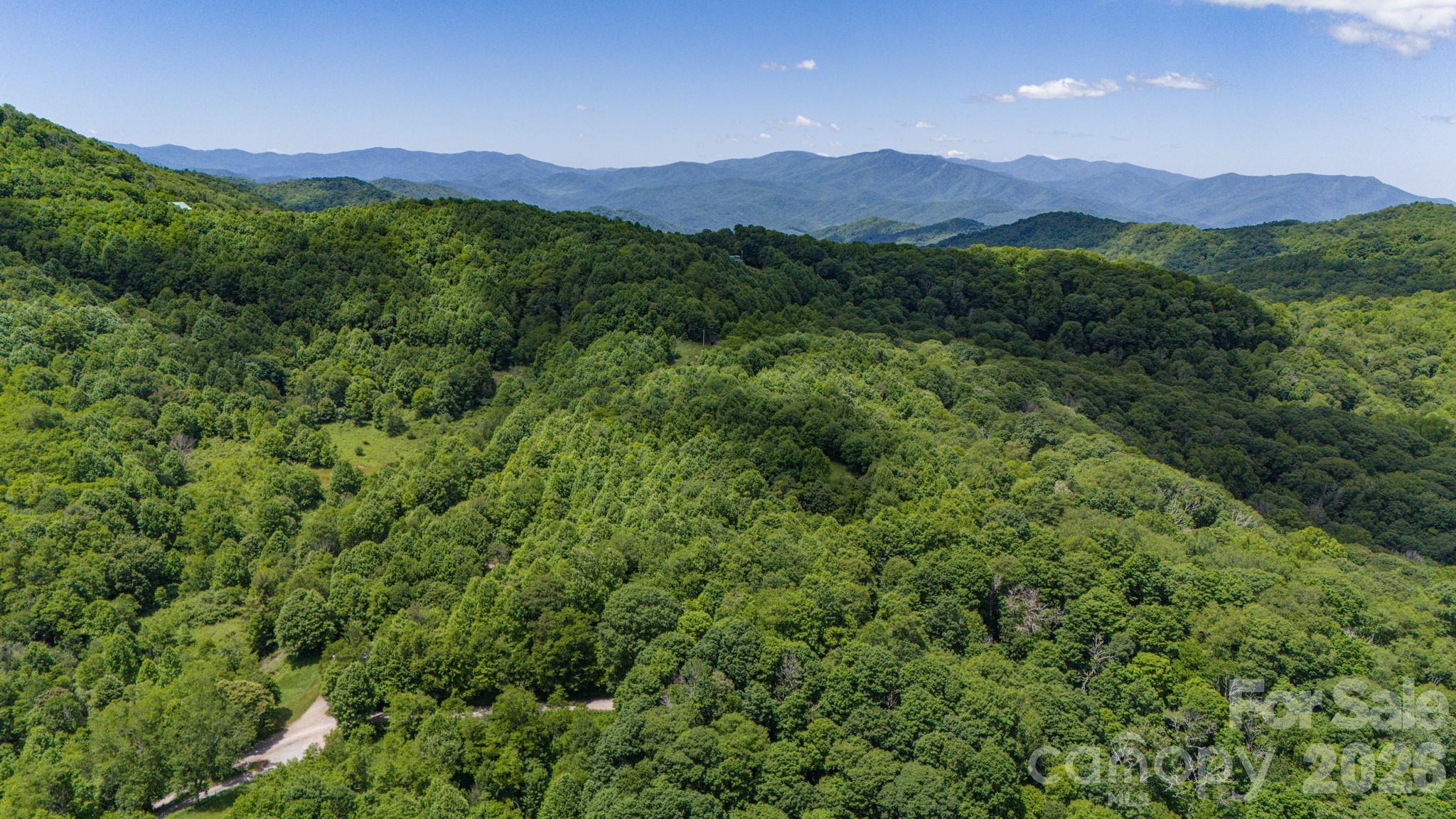 Tract 2 Turkey Trot Road Property Photo 9