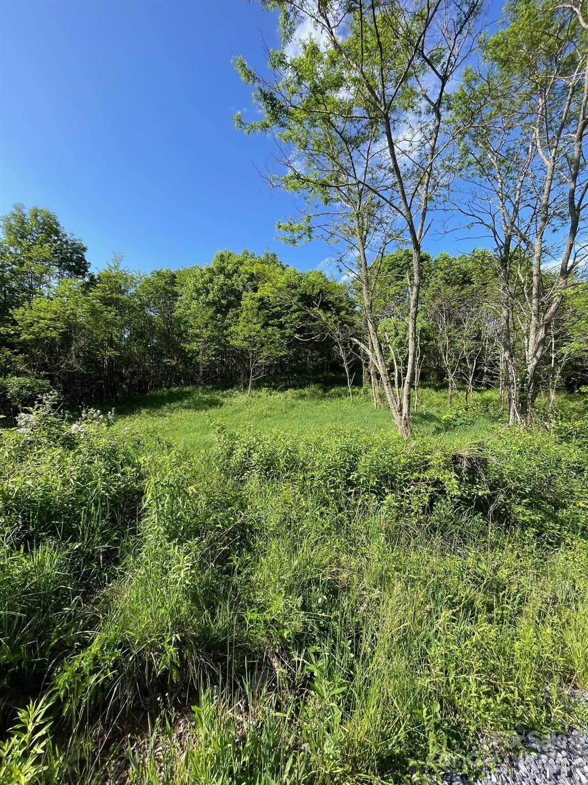 Tract 2 Turkey Trot Road Property Photo 10