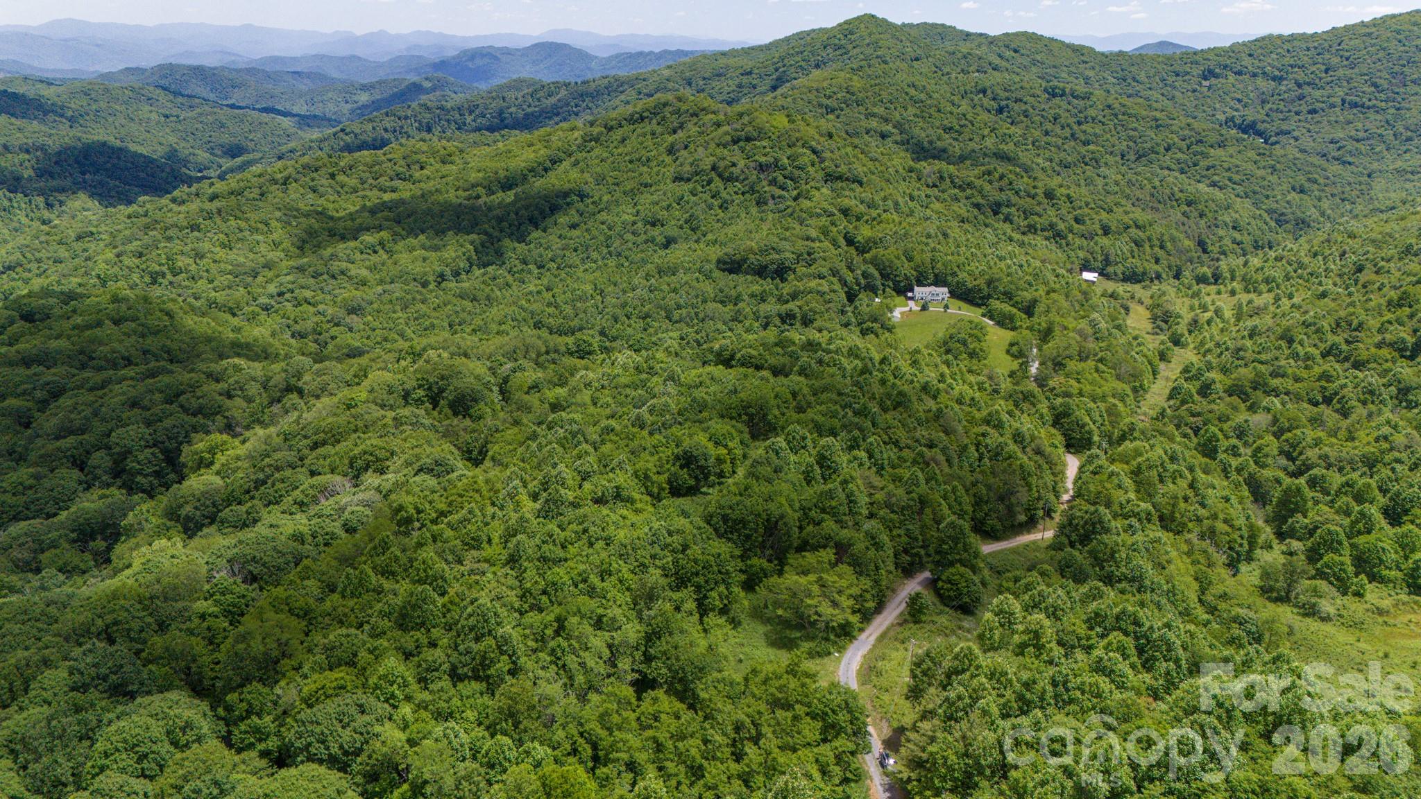 Tract 2 Turkey Trot Road Property Photo 10