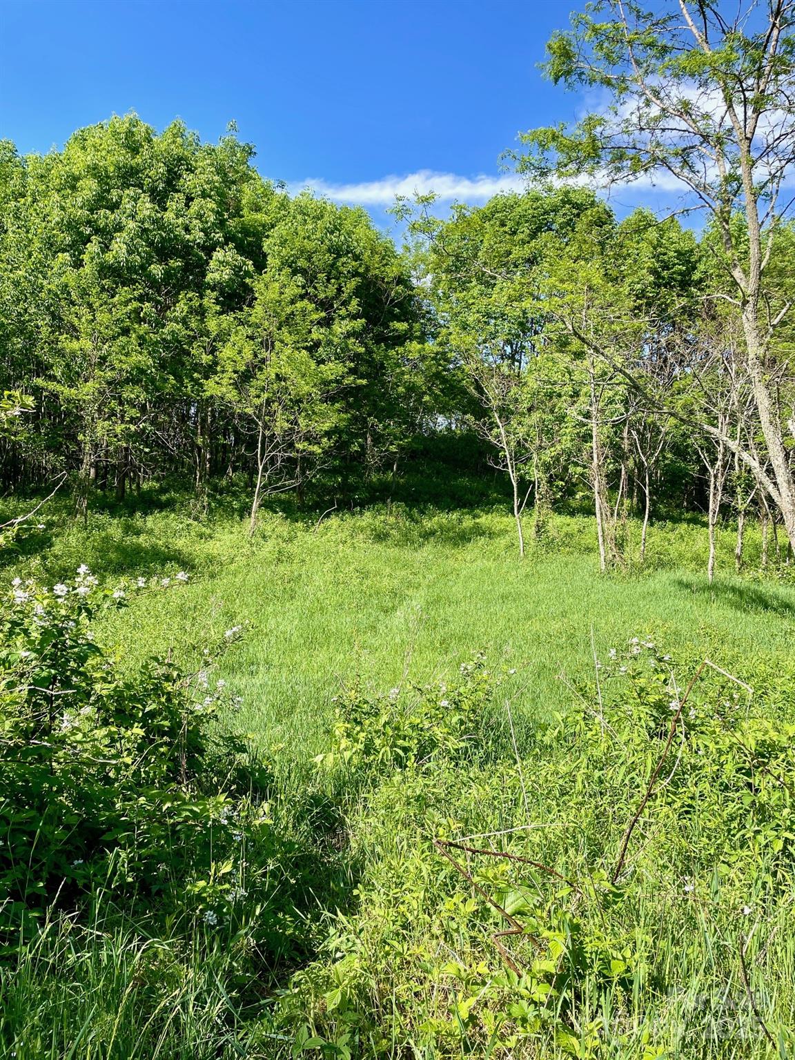 Tract 2 Turkey Trot Road Property Photo 11