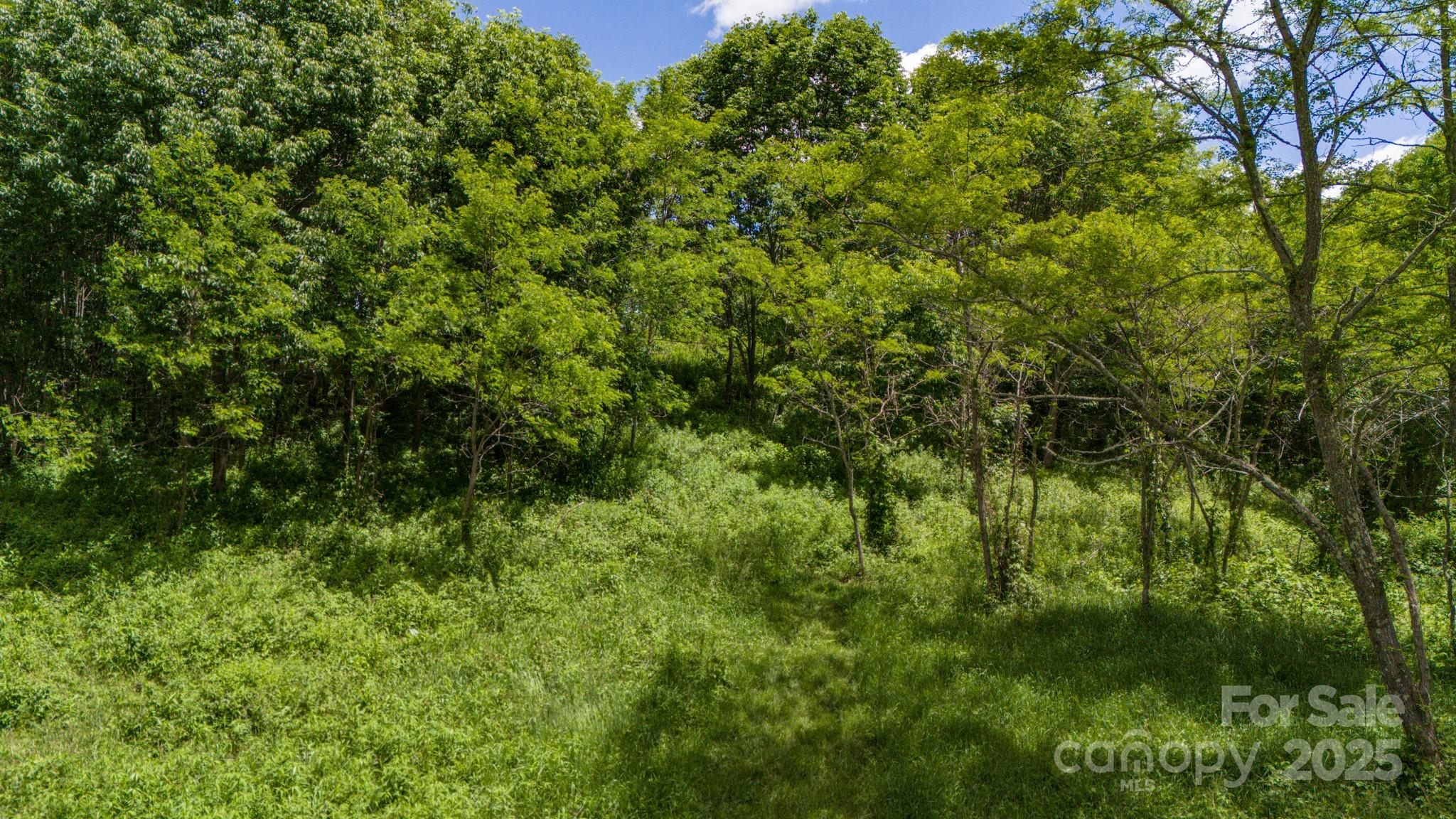 Tract 2 Turkey Trot Road Property Photo 12