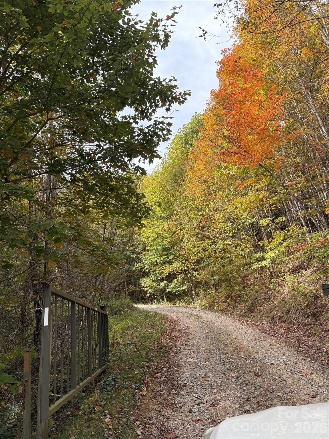 Tract 2 Turkey Trot Road Property Photo 12