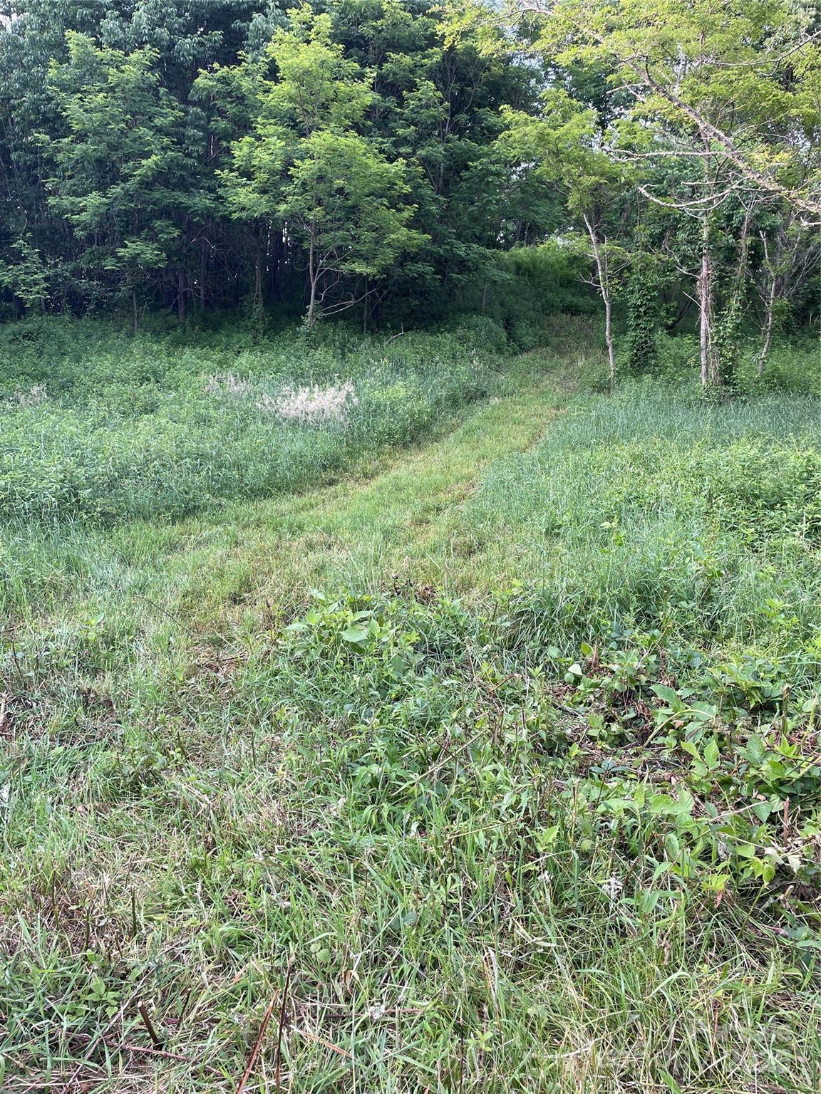 Tract 2 Turkey Trot Road Property Photo 13