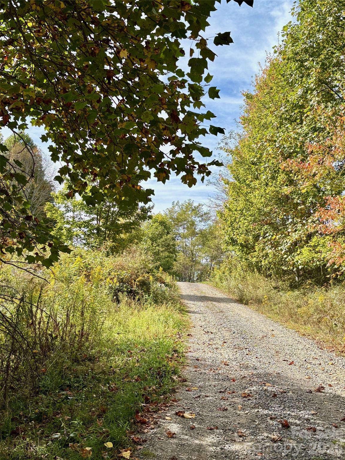 Tract 2 Turkey Trot Road Property Photo 13