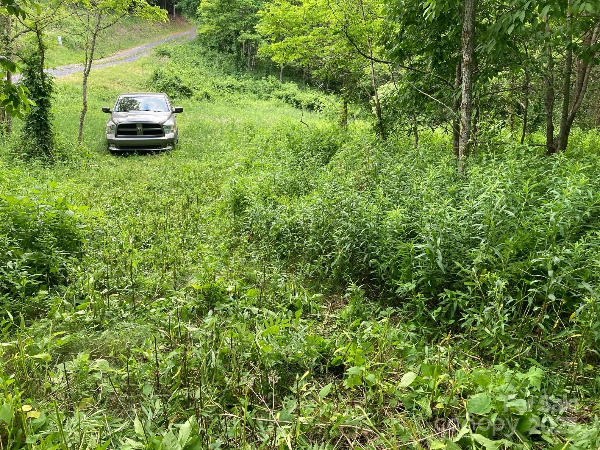 Tract 2 Turkey Trot Road Property Photo 14