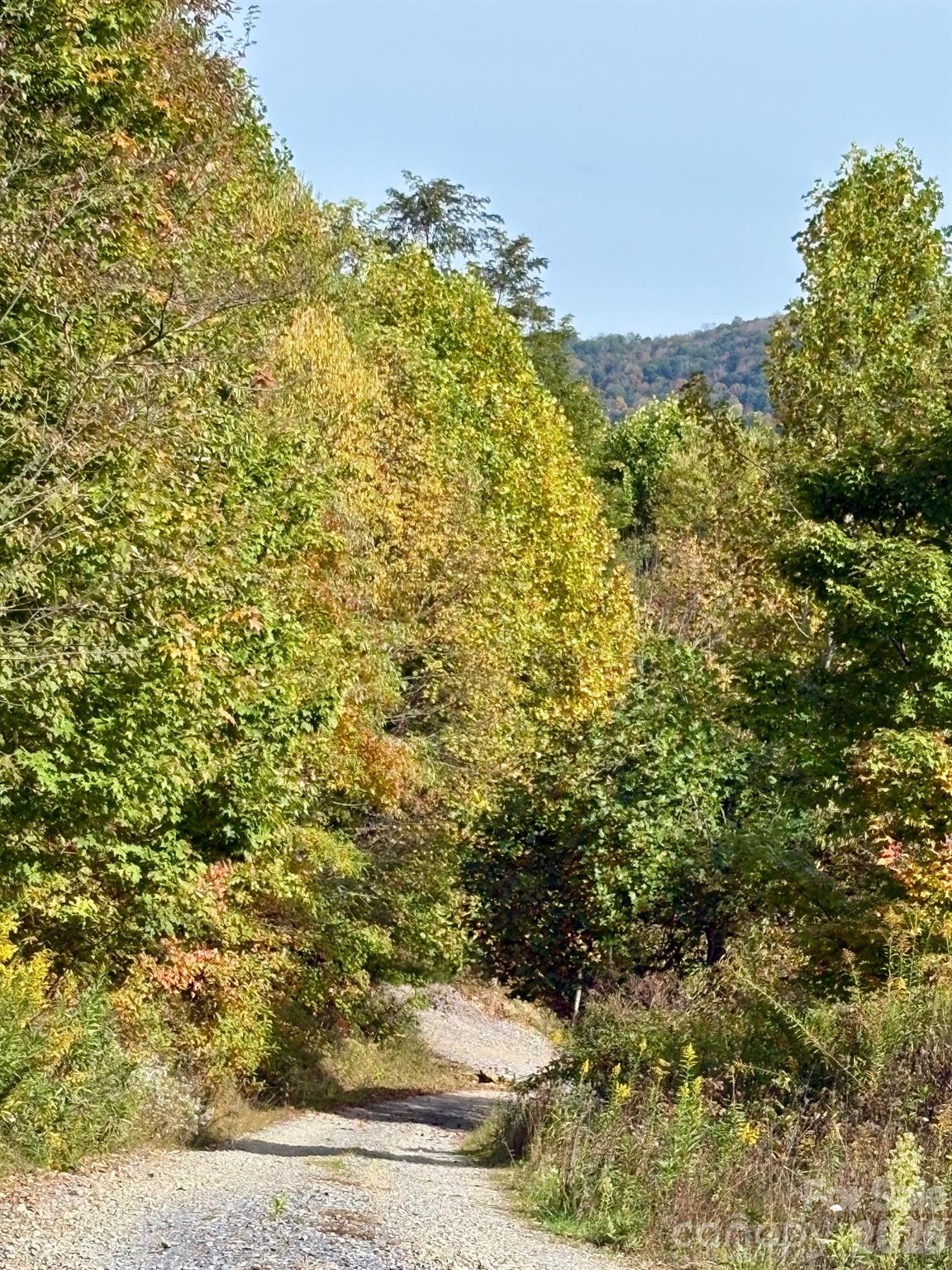 Tract 2 Turkey Trot Road Property Photo 14
