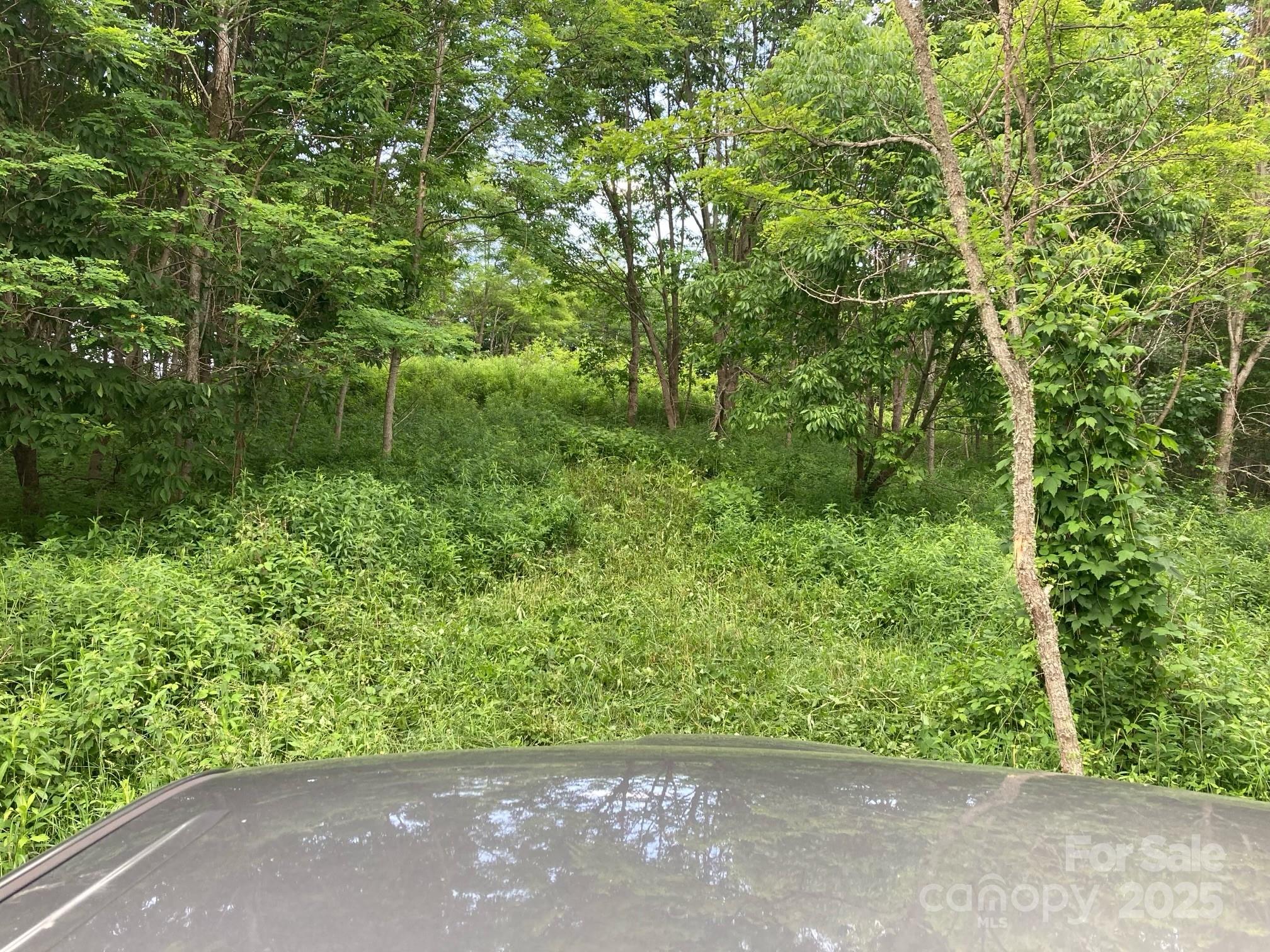 Tract 2 Turkey Trot Road Property Photo 15