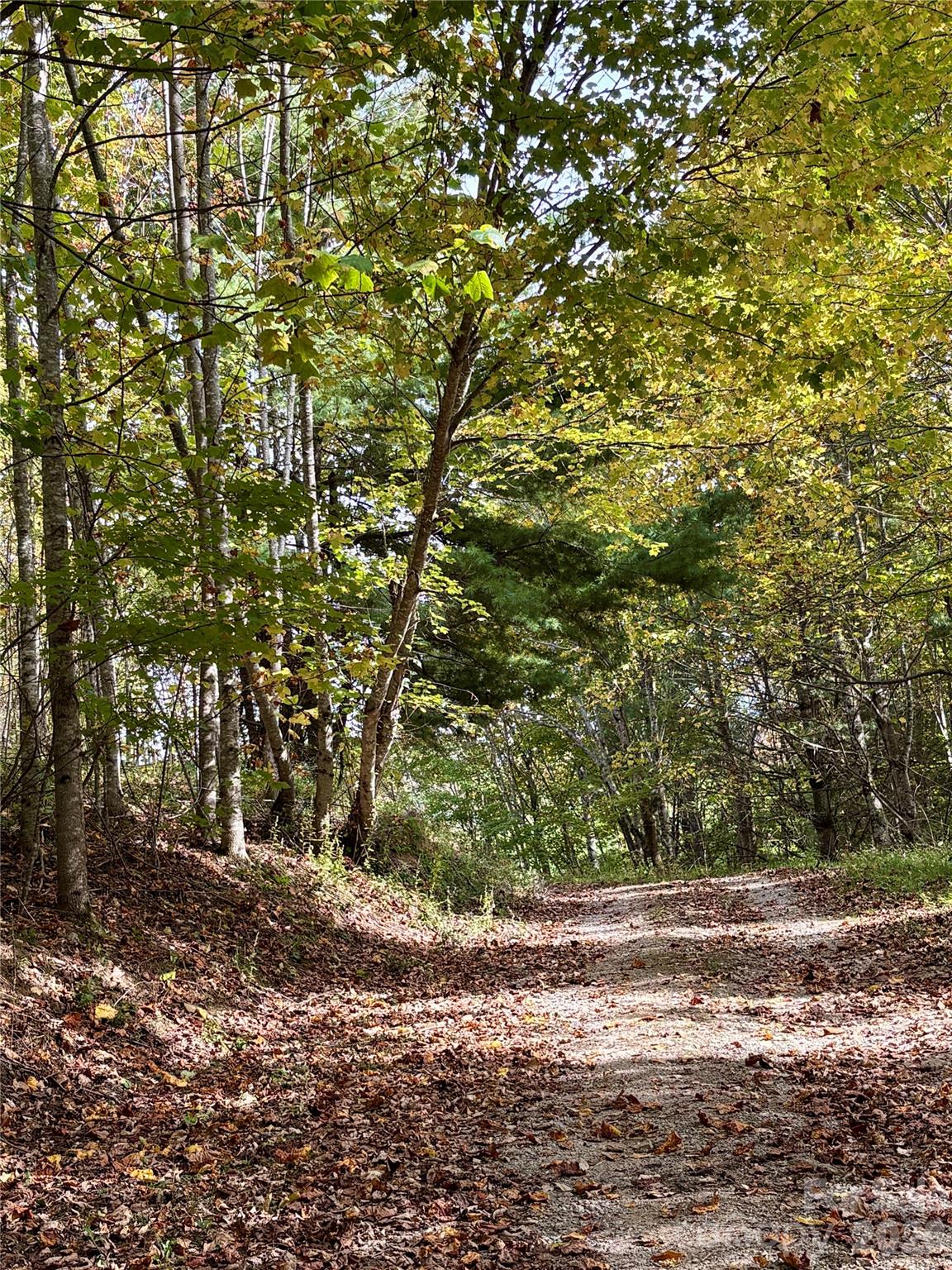 Tract 2 Turkey Trot Road Property Photo 15
