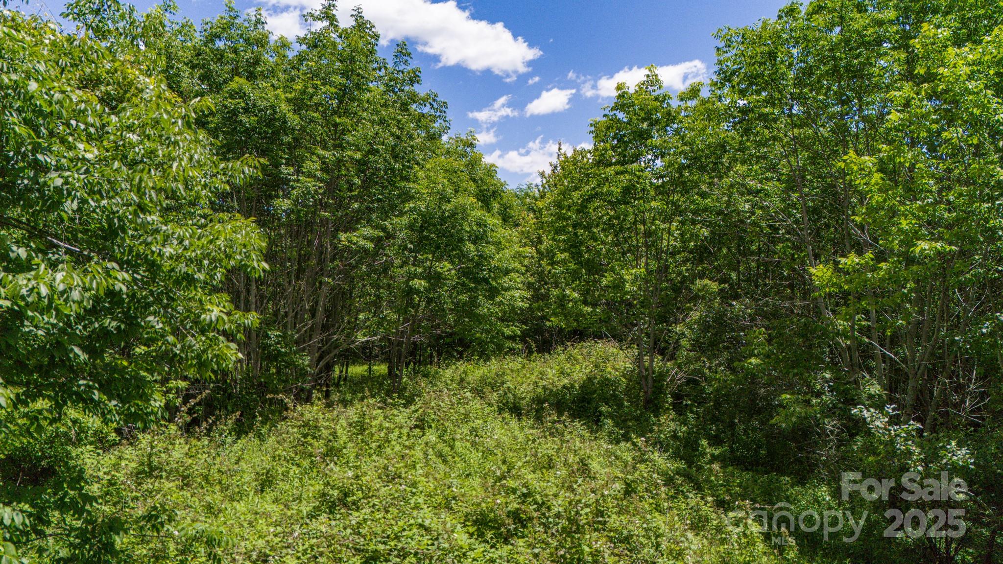 Tract 2 Turkey Trot Road Property Photo 16