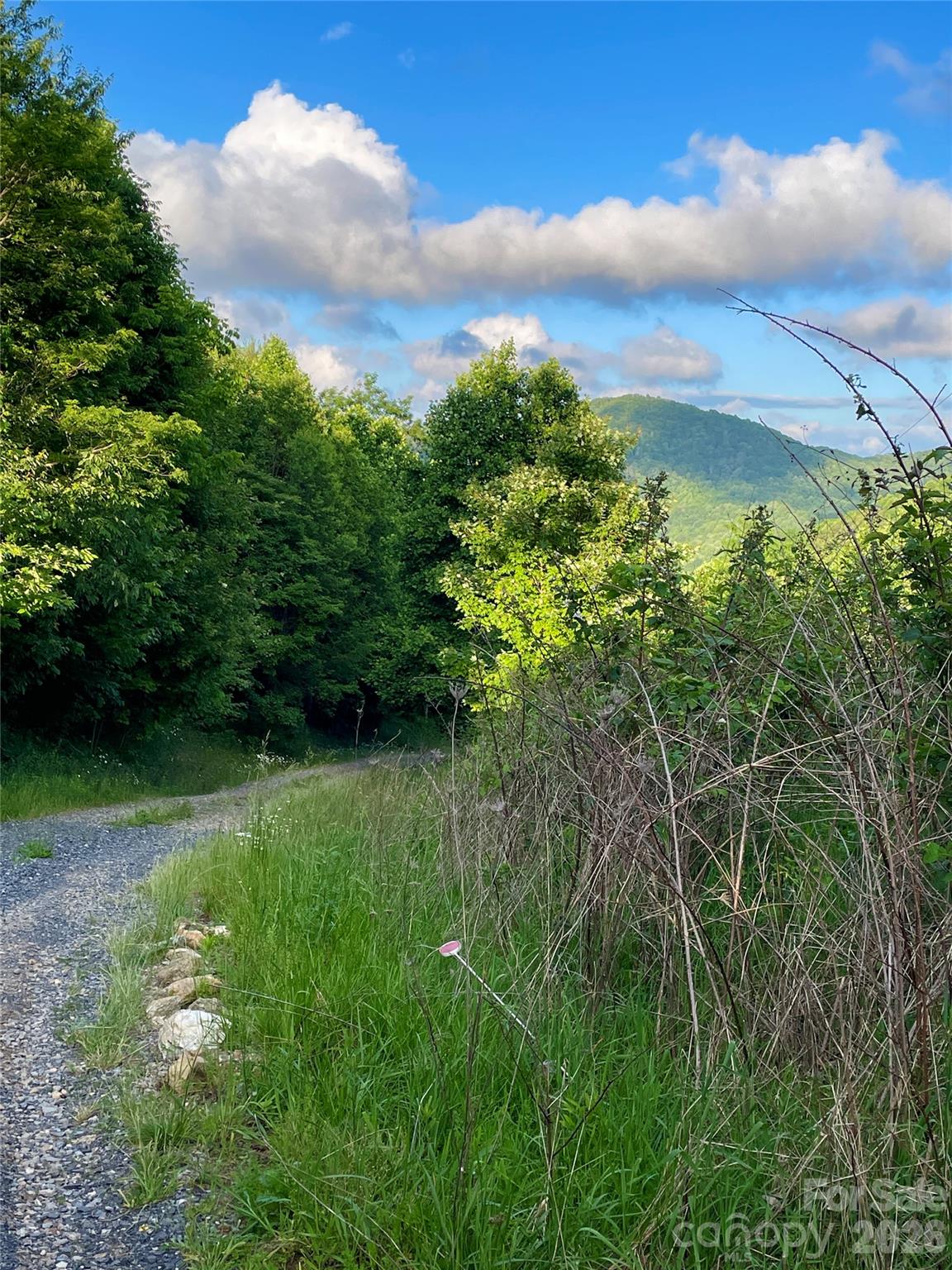 Tract 2 Turkey Trot Road Property Photo 16