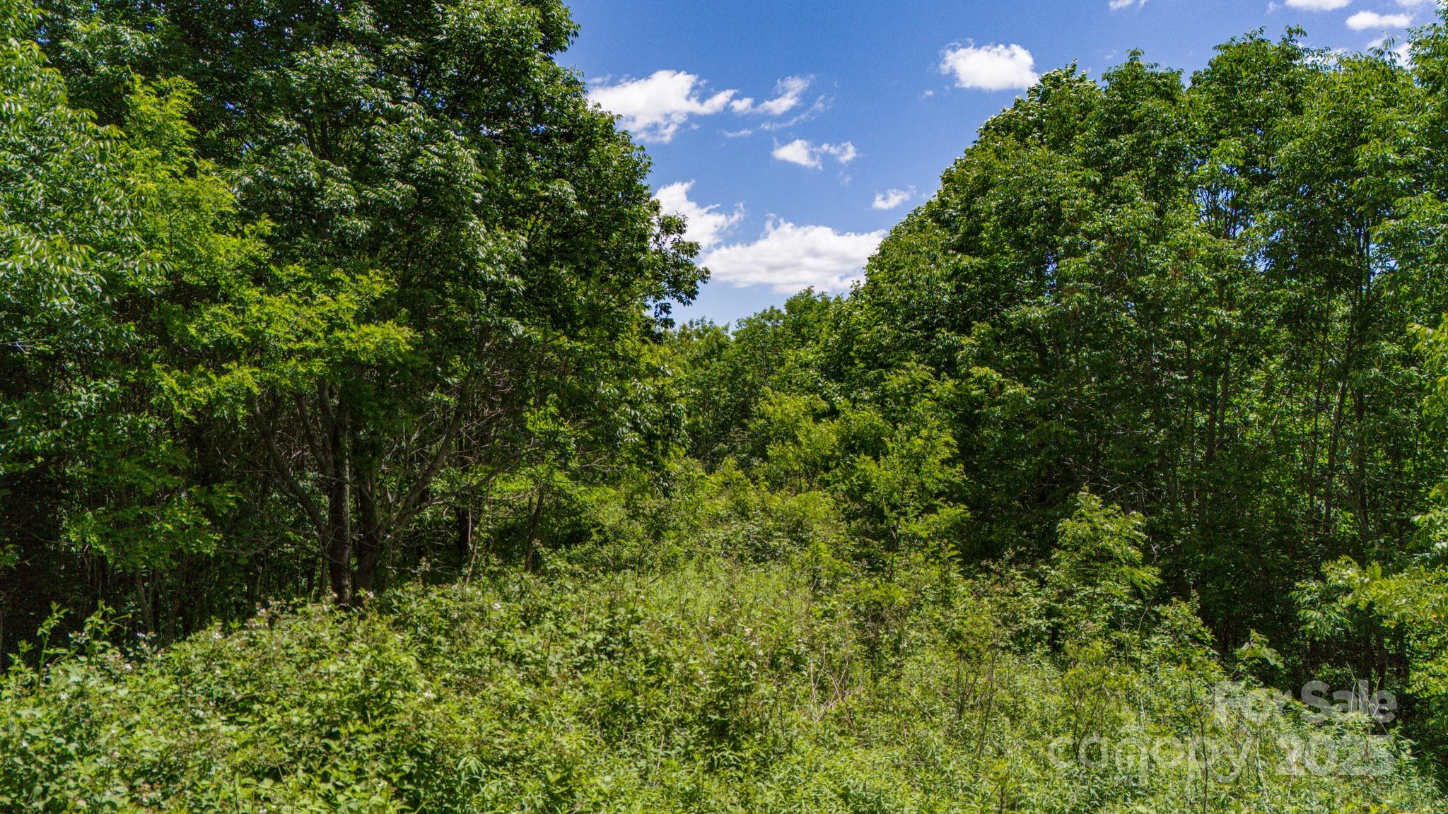 Tract 2 Turkey Trot Road Property Photo 17