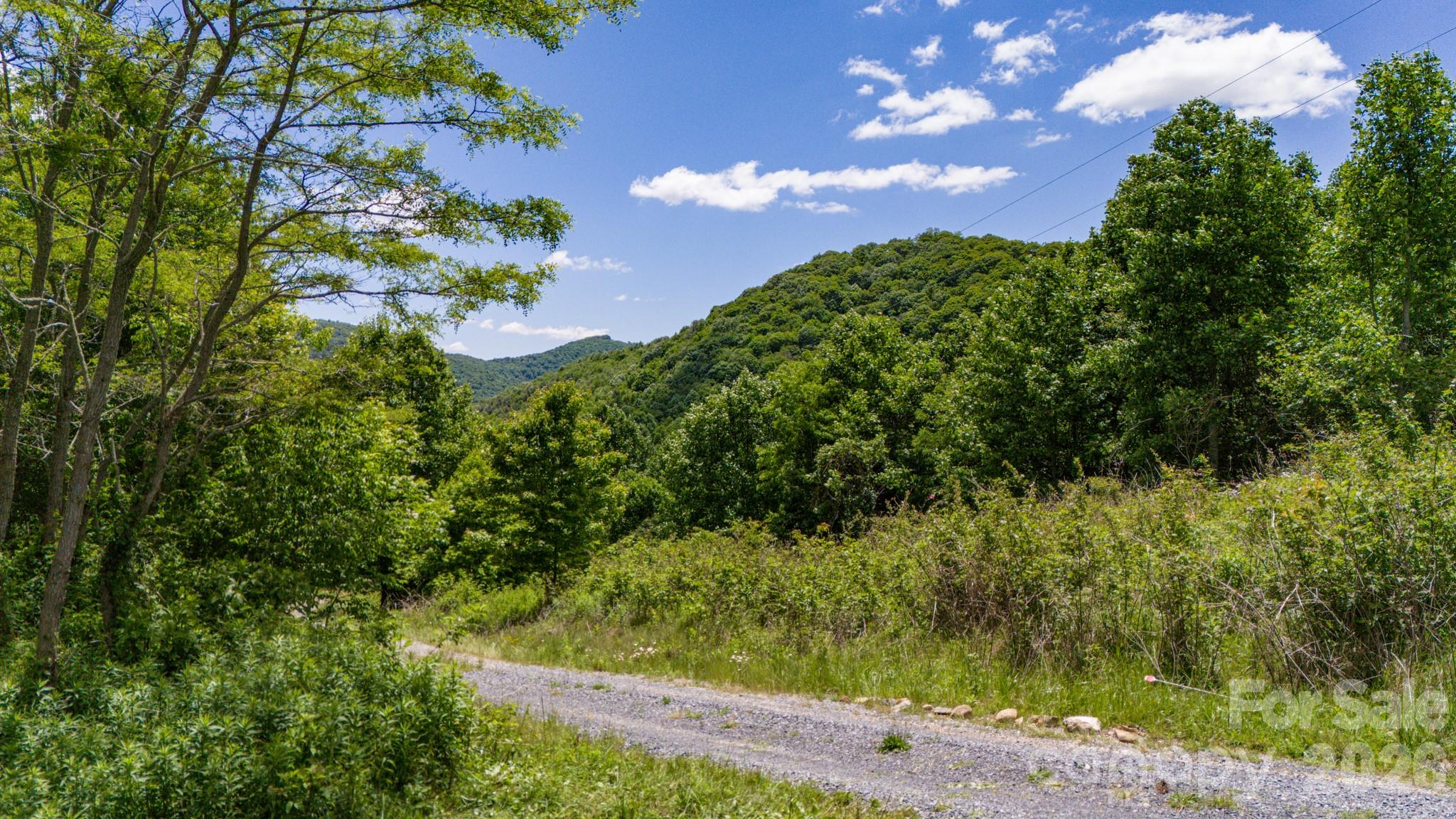Tract 2 Turkey Trot Road Property Photo 17