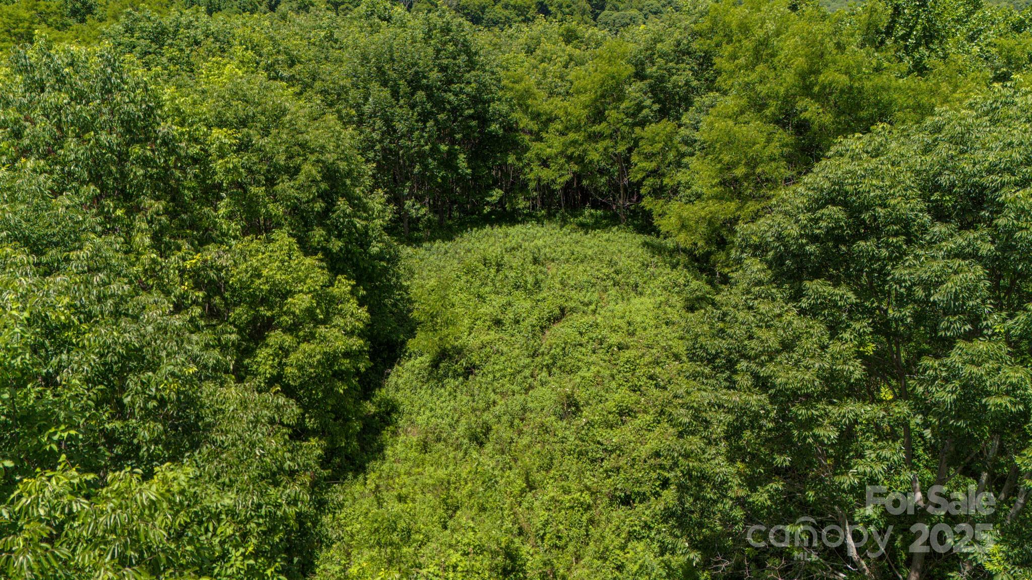 Tract 2 Turkey Trot Road Property Photo 18