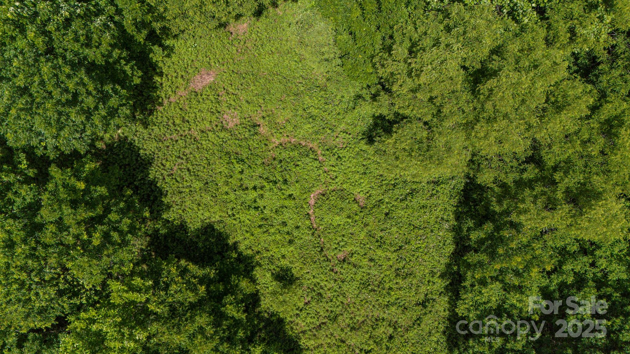 Tract 2 Turkey Trot Road Property Photo 19