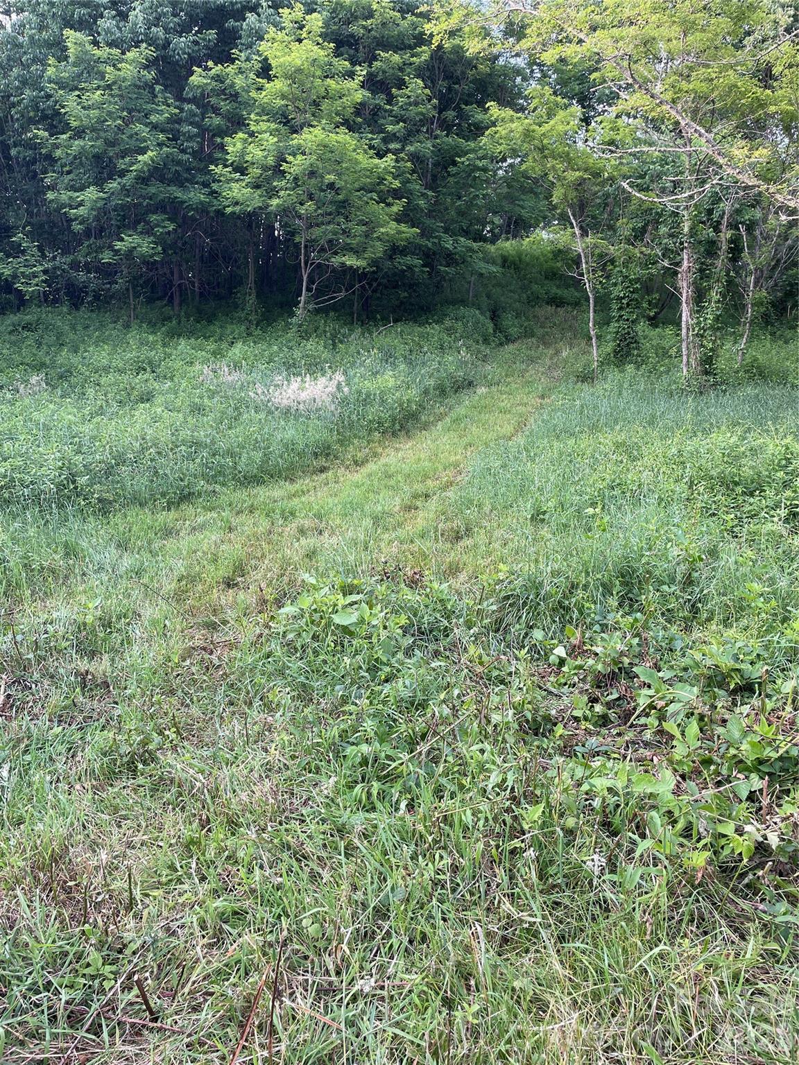 Tract 2 Turkey Trot Road Property Photo 19