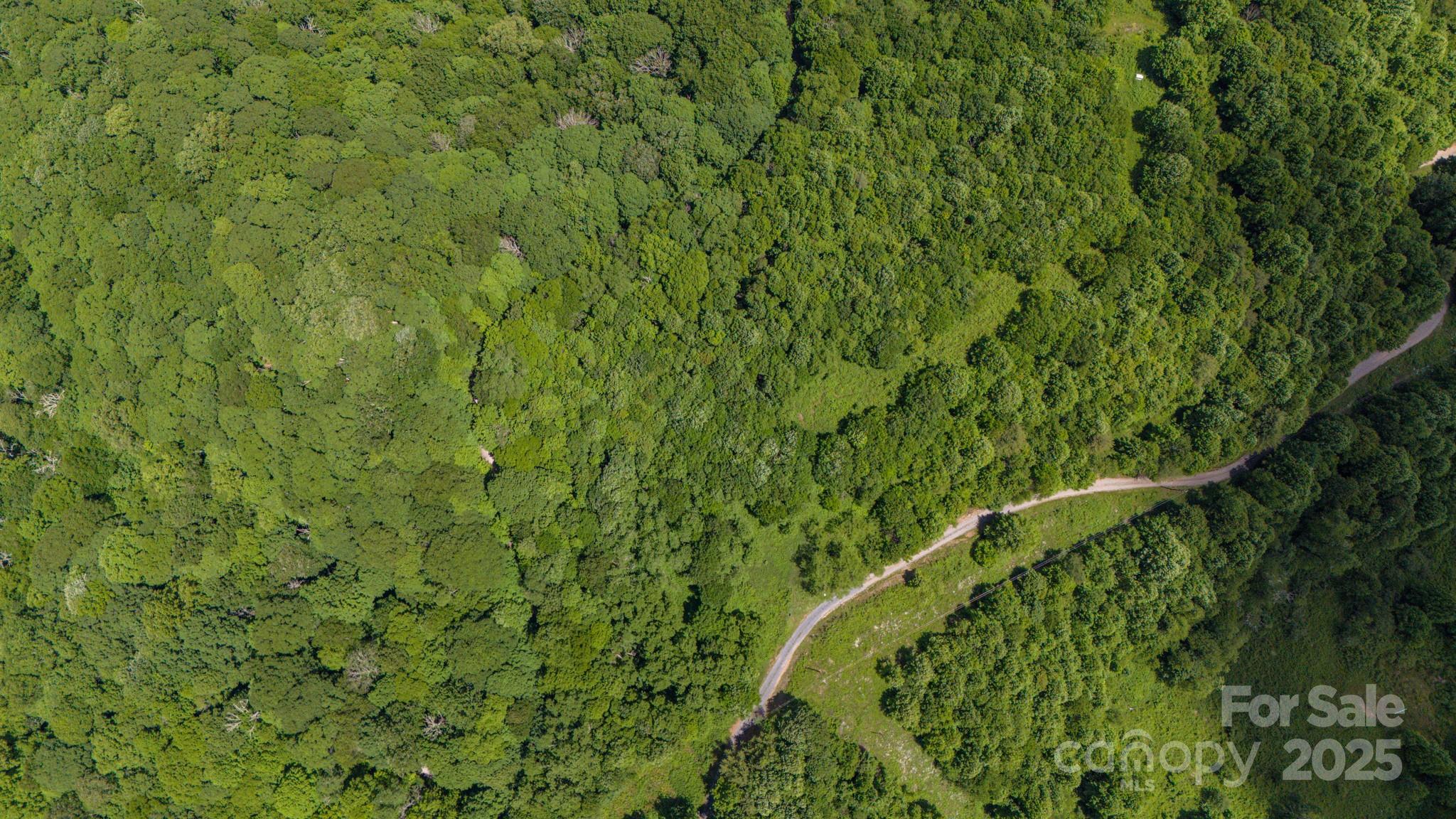 Tract 2 Turkey Trot Road Property Photo 20