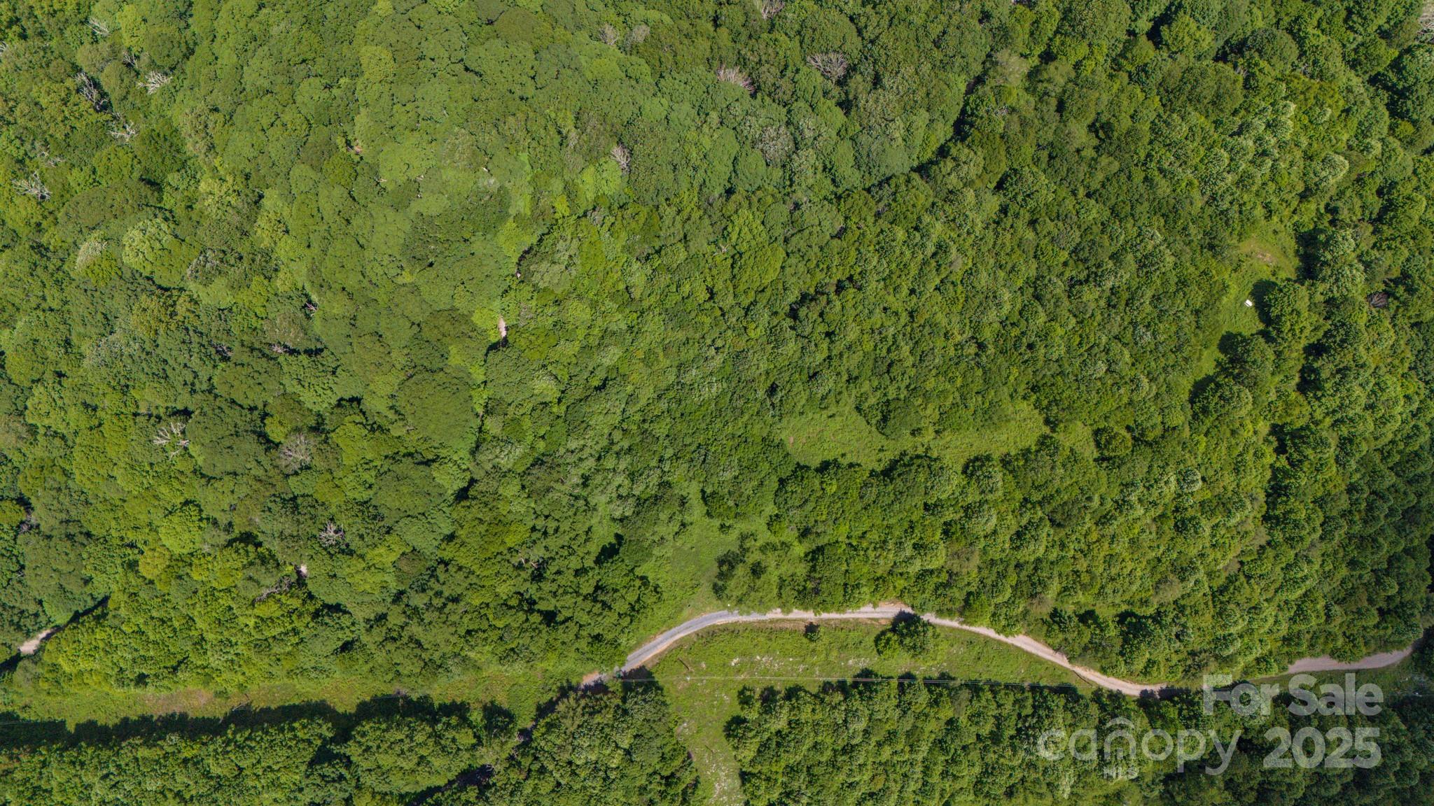 Tract 2 Turkey Trot Road Property Photo 21