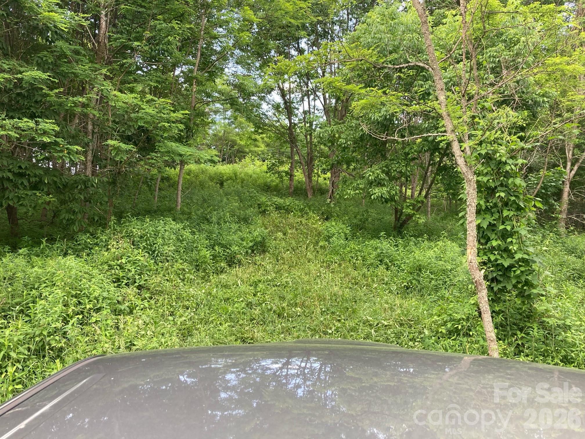 Tract 2 Turkey Trot Road Property Photo 22