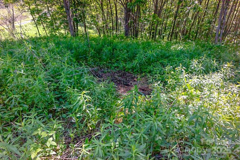 Tract 2 Turkey Trot Road Property Photo 23