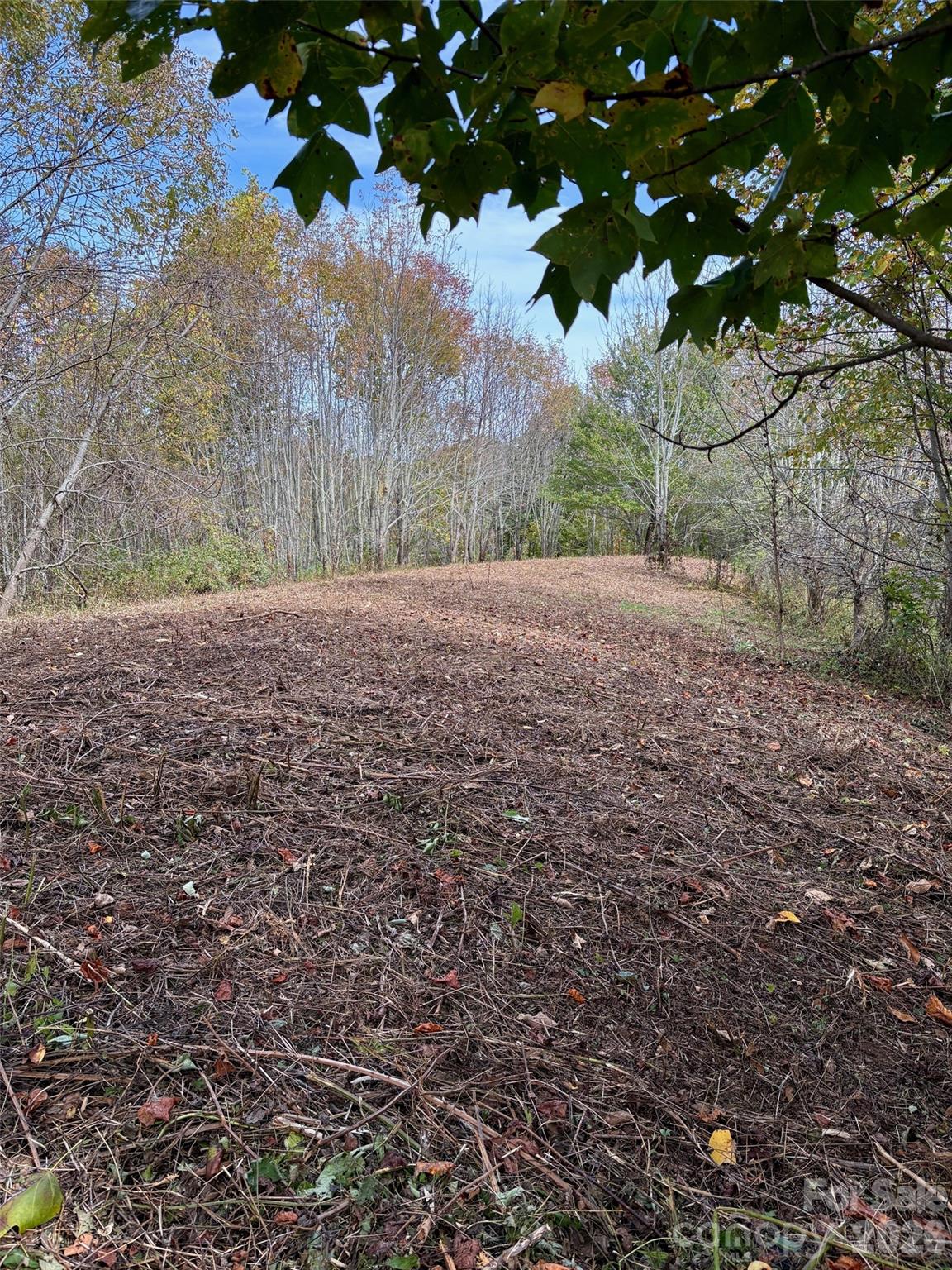 Tract 2 Turkey Trot Road Property Photo 23