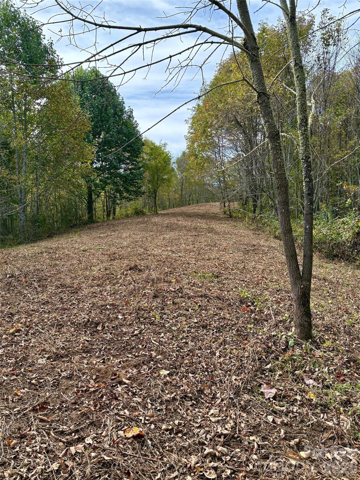 Tract 2 Turkey Trot Road Property Photo 24