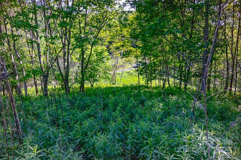 Tract 2 Turkey Trot Road Property Photo 25