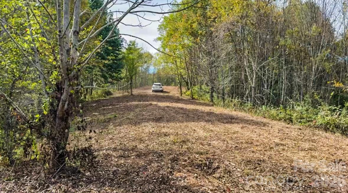 Tract 2 Turkey Trot Road Property Photo 25