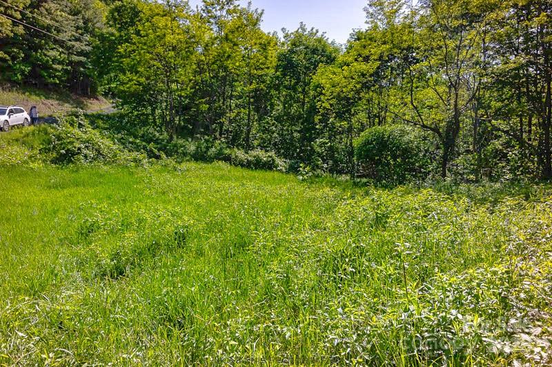 Tract 2 Turkey Trot Road Property Photo 26