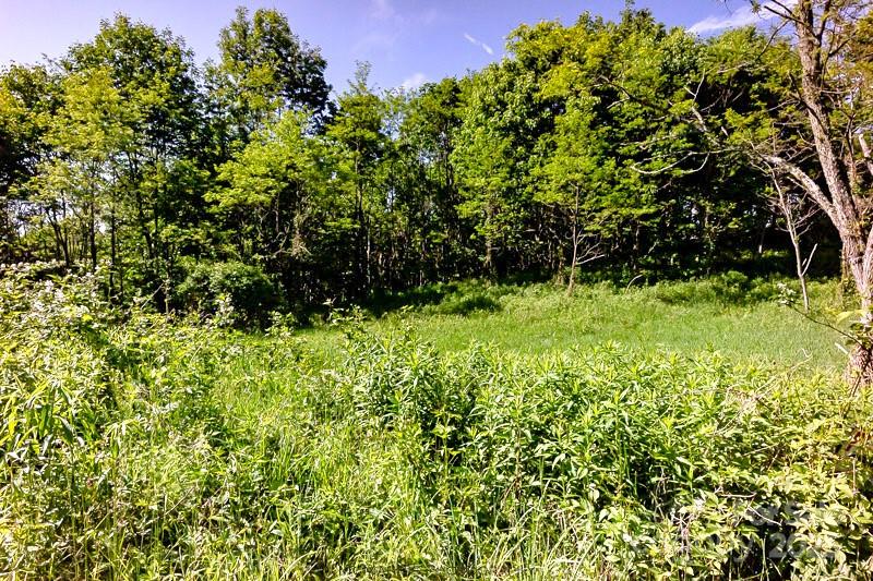 Tract 2 Turkey Trot Road Property Photo 27