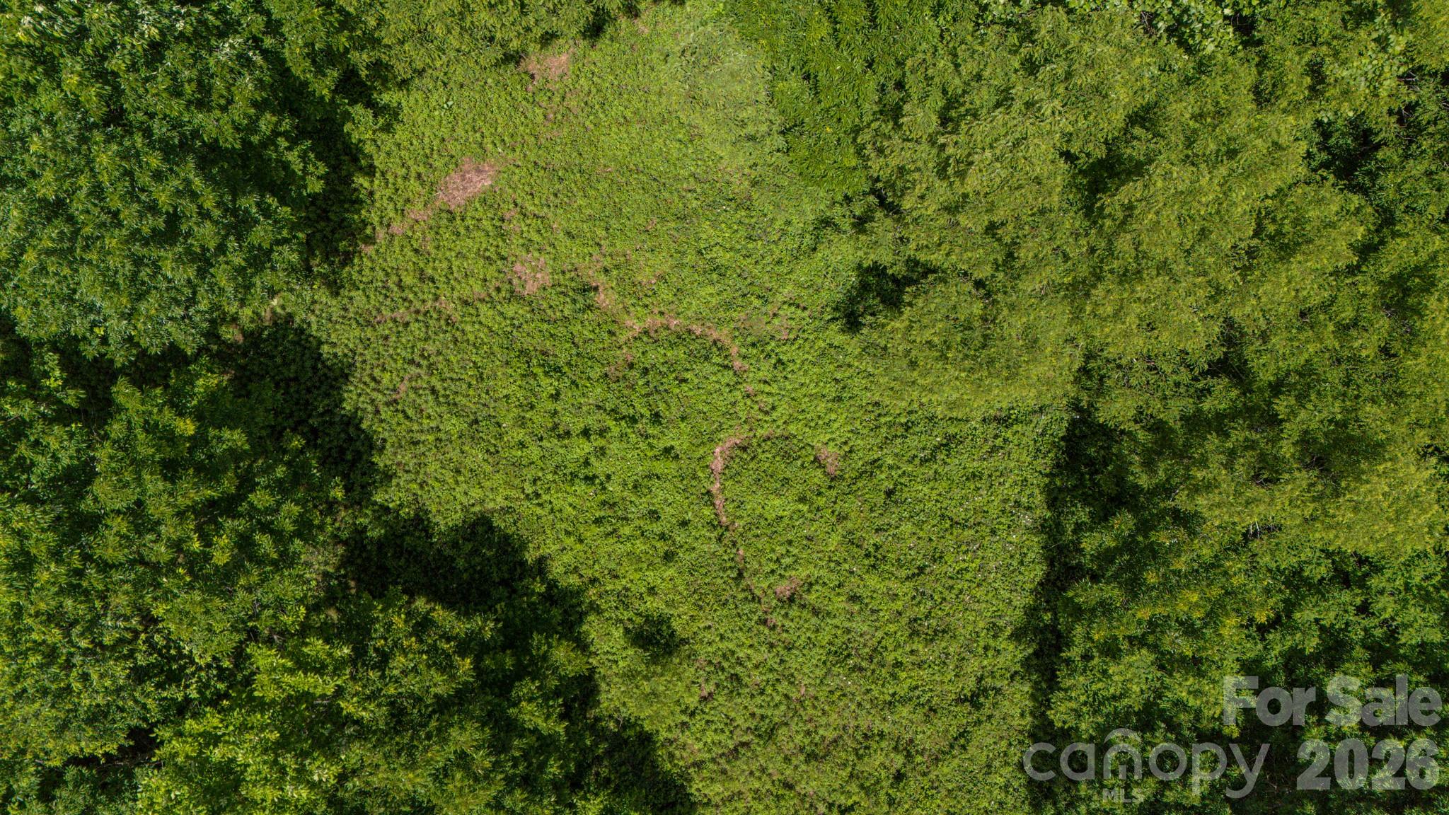 Tract 2 Turkey Trot Road Property Photo 27