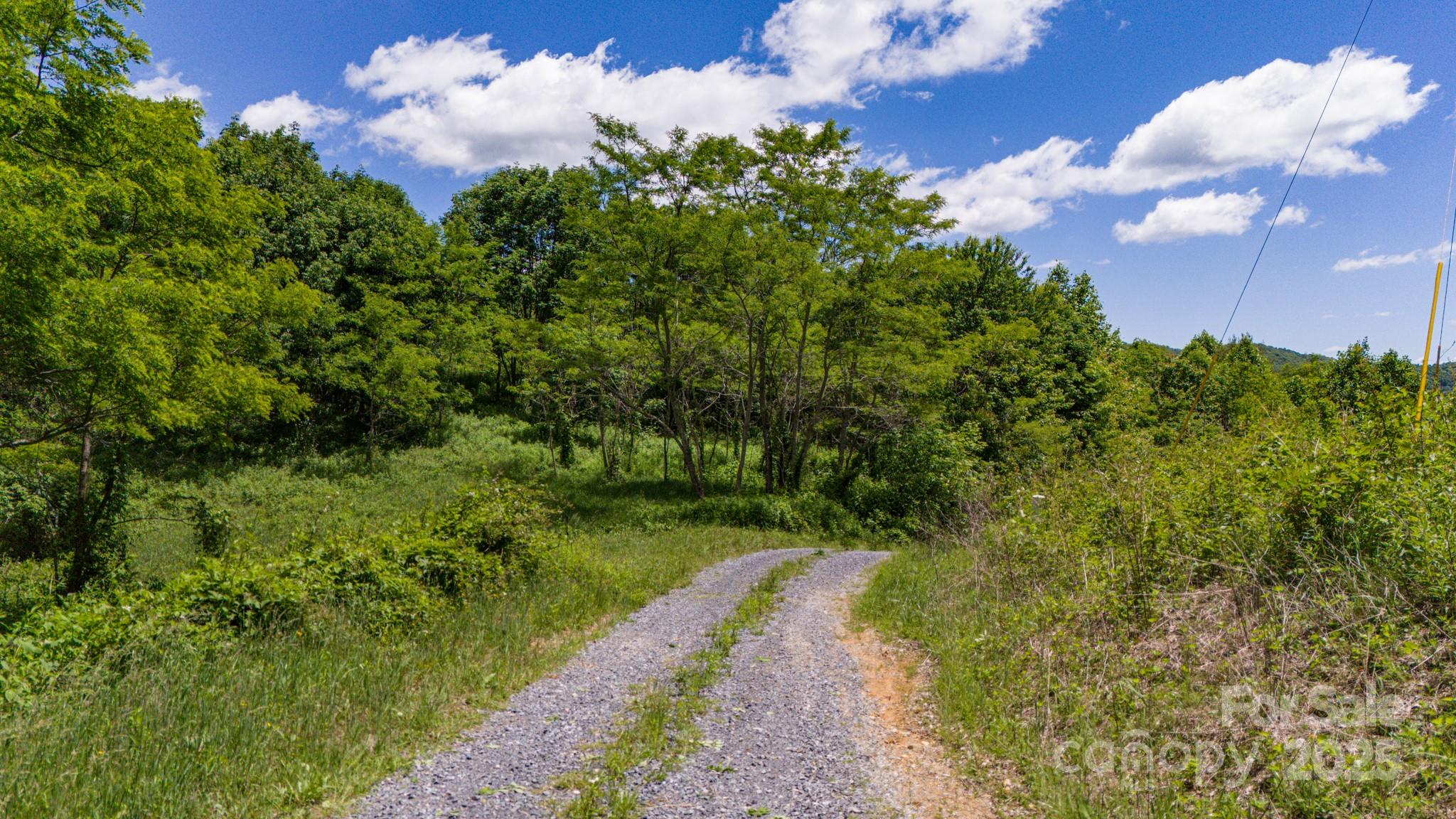 Tract 2 Turkey Trot Road Property Photo 28