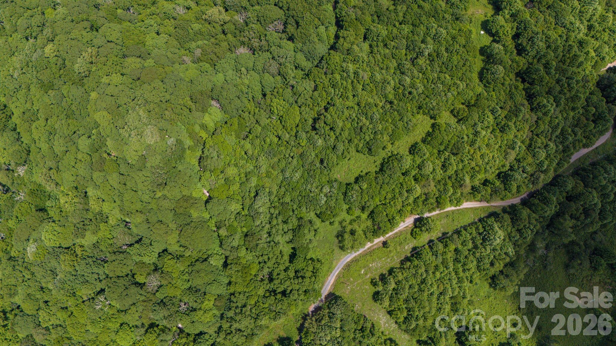 Tract 2 Turkey Trot Road Property Photo 28