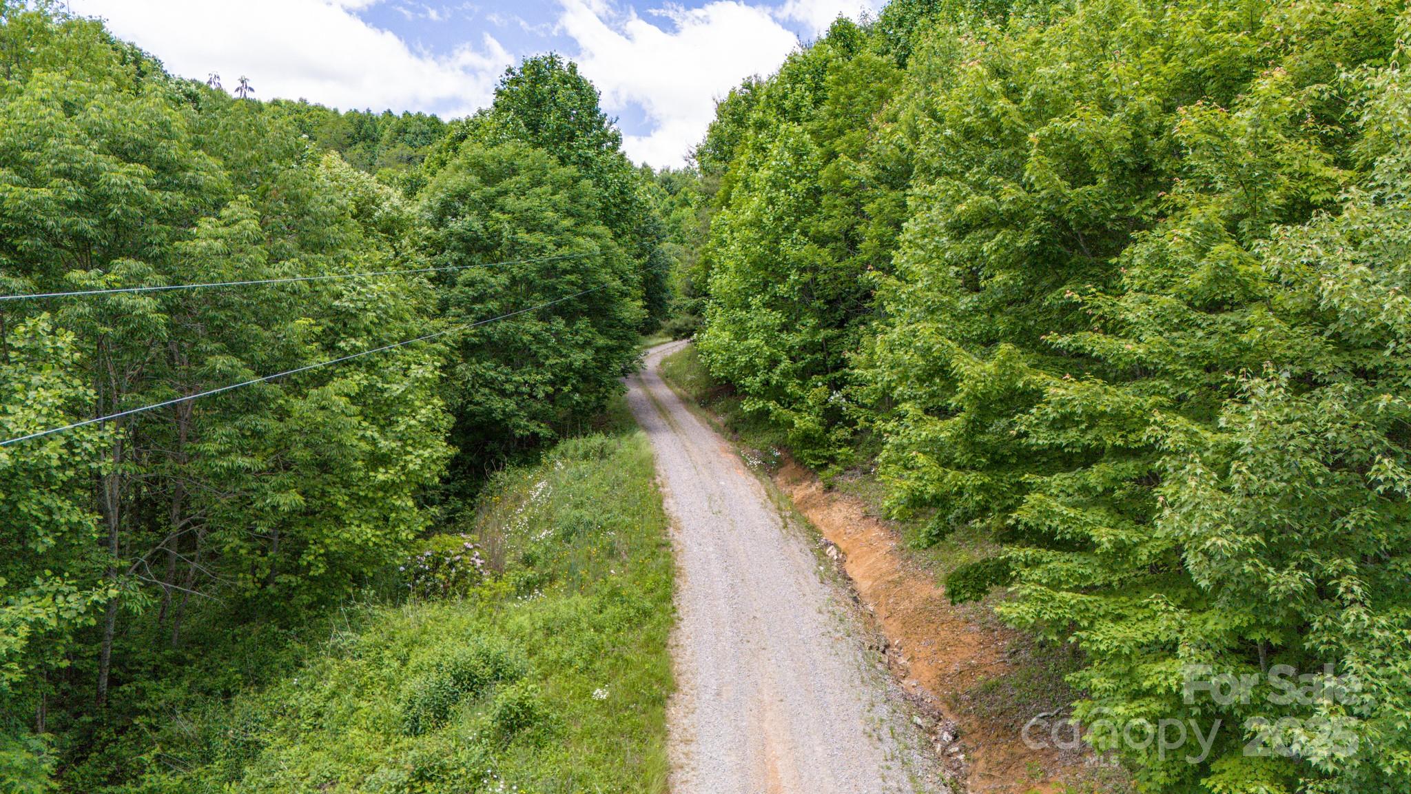 Tract 2 Turkey Trot Road Property Photo 29