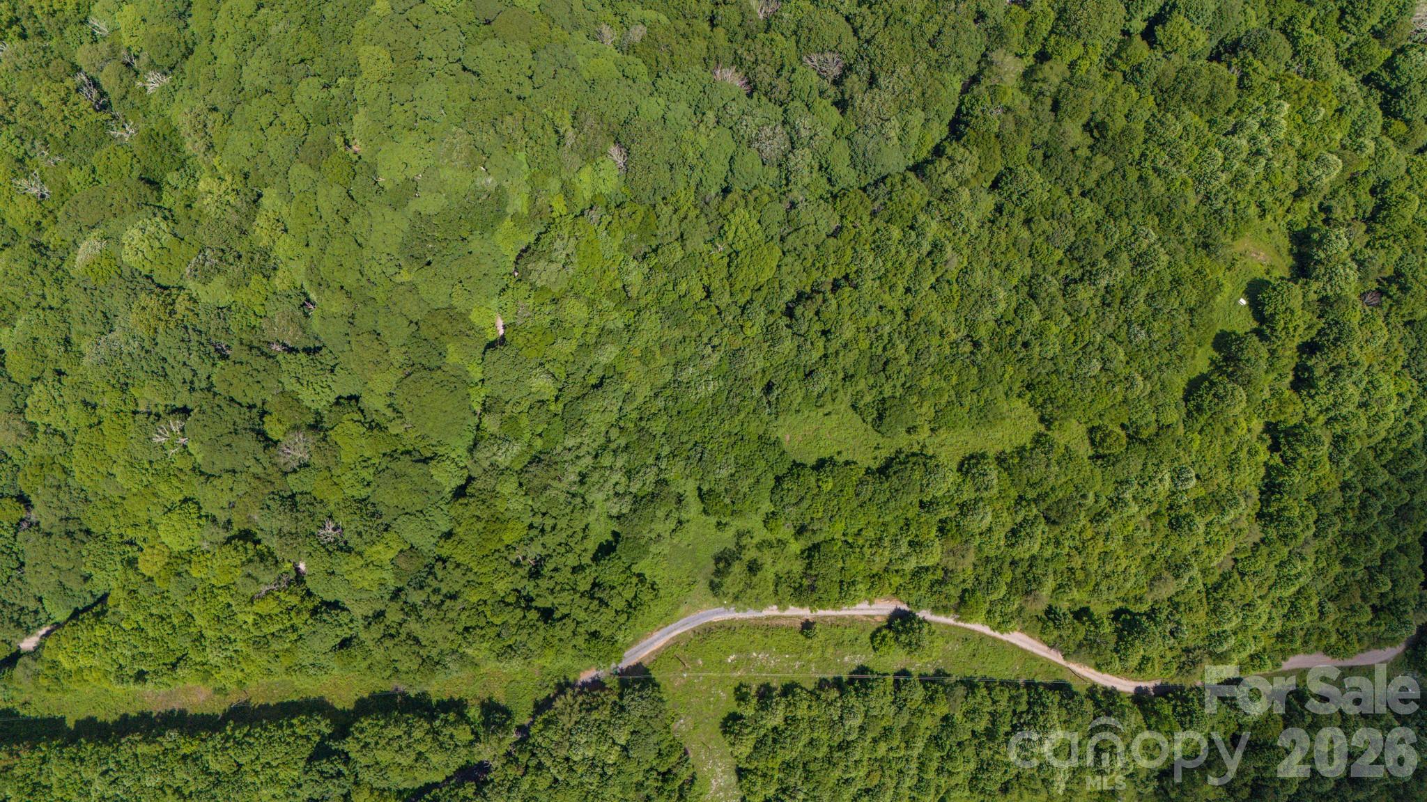 Tract 2 Turkey Trot Road Property Photo 29