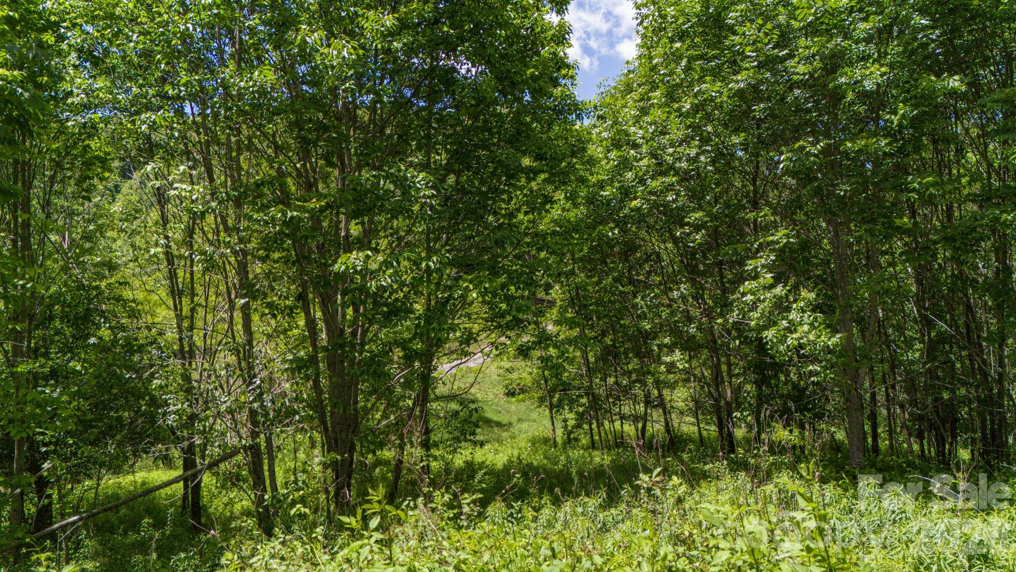 Tract 2 Turkey Trot Road Property Photo 30
