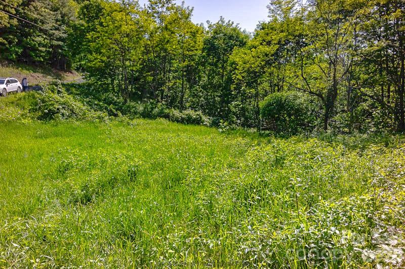 Tract 2 Turkey Trot Road Property Photo 31