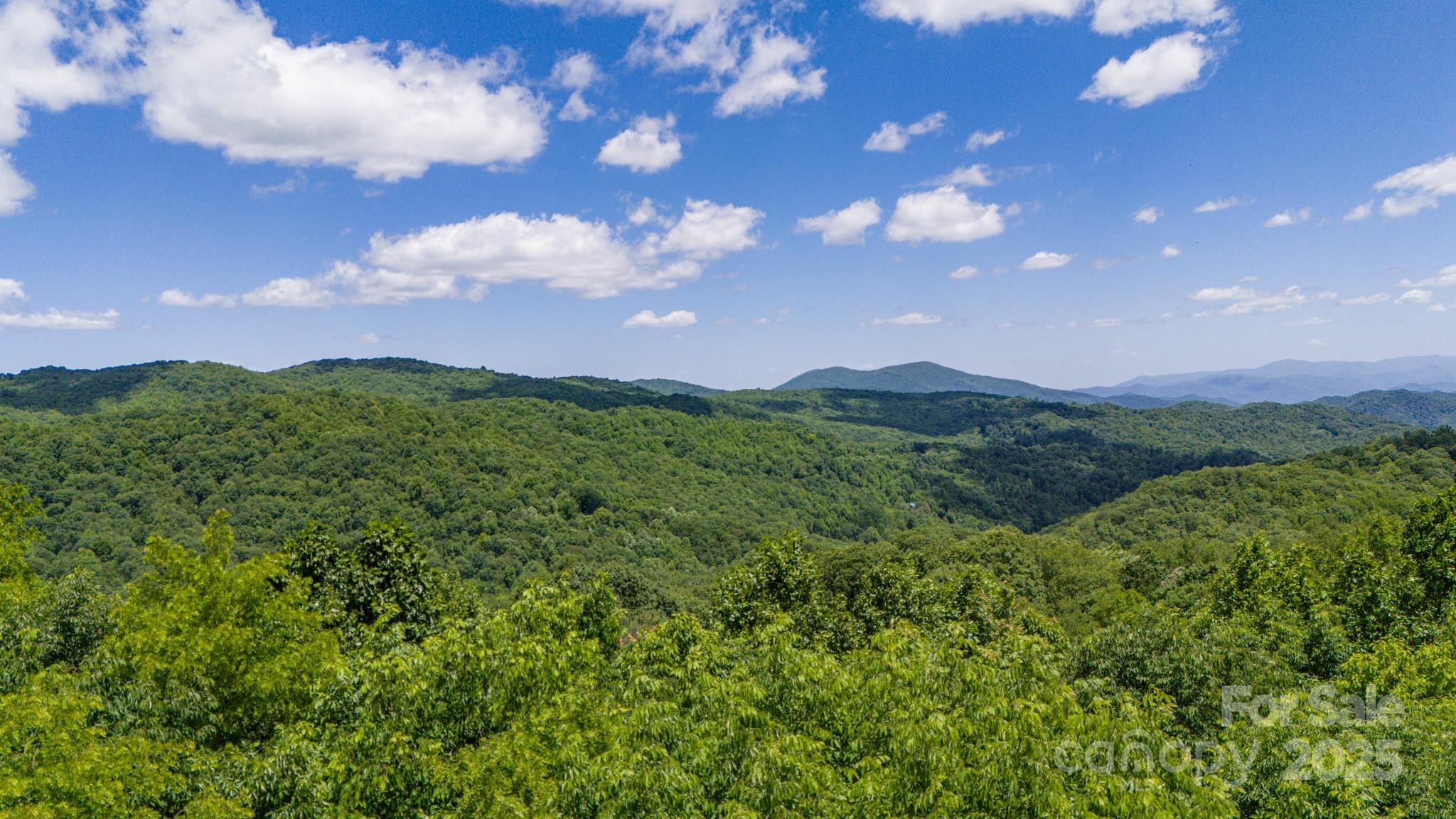 Tract 2 Turkey Trot Road Property Photo 32