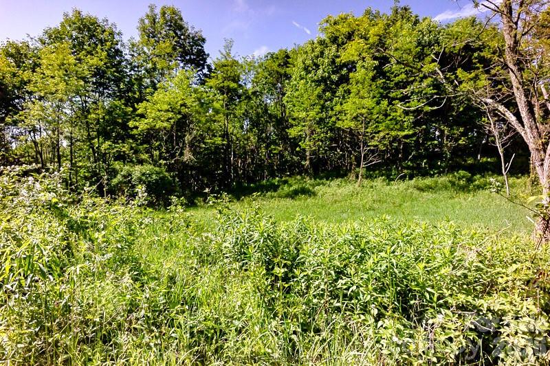Tract 2 Turkey Trot Road Property Photo 32