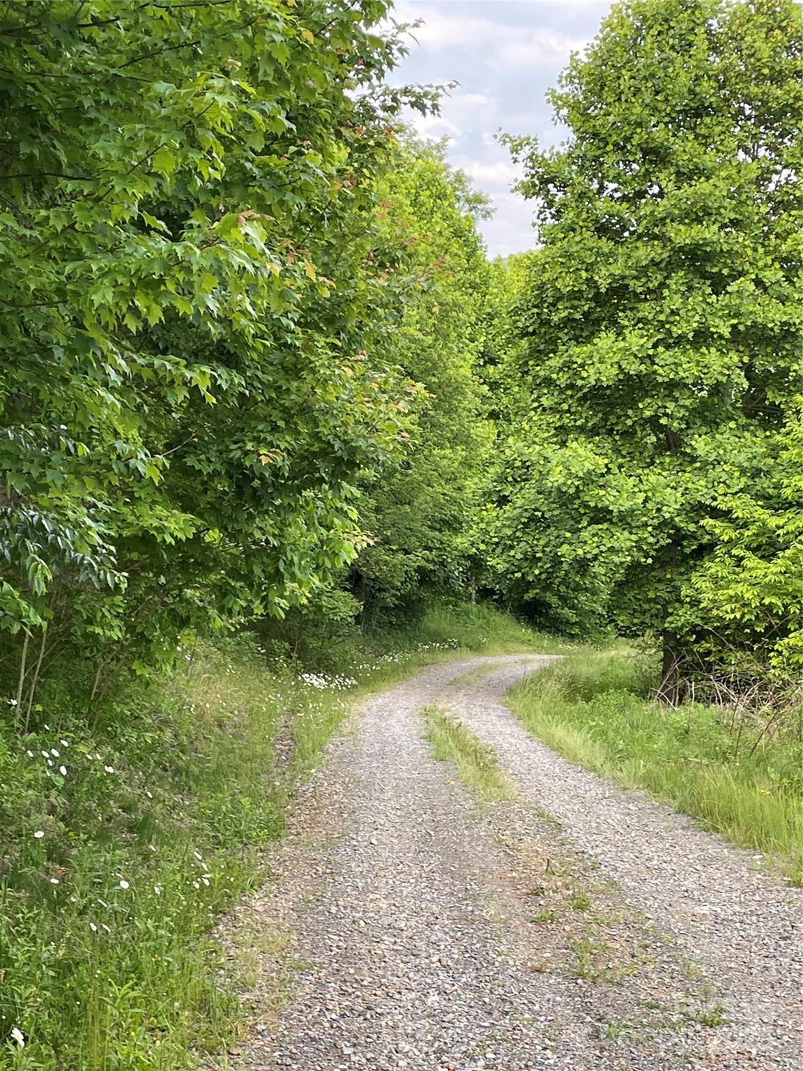Tract 2 Turkey Trot Road Property Photo 33