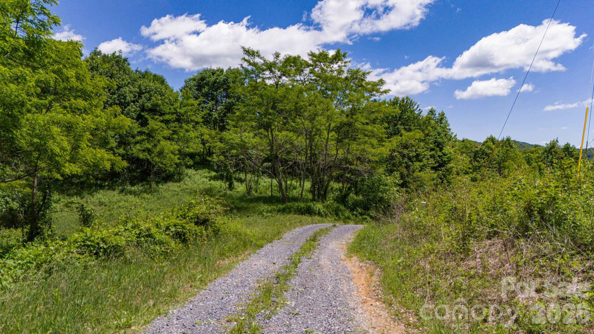 Tract 2 Turkey Trot Road Property Photo 33