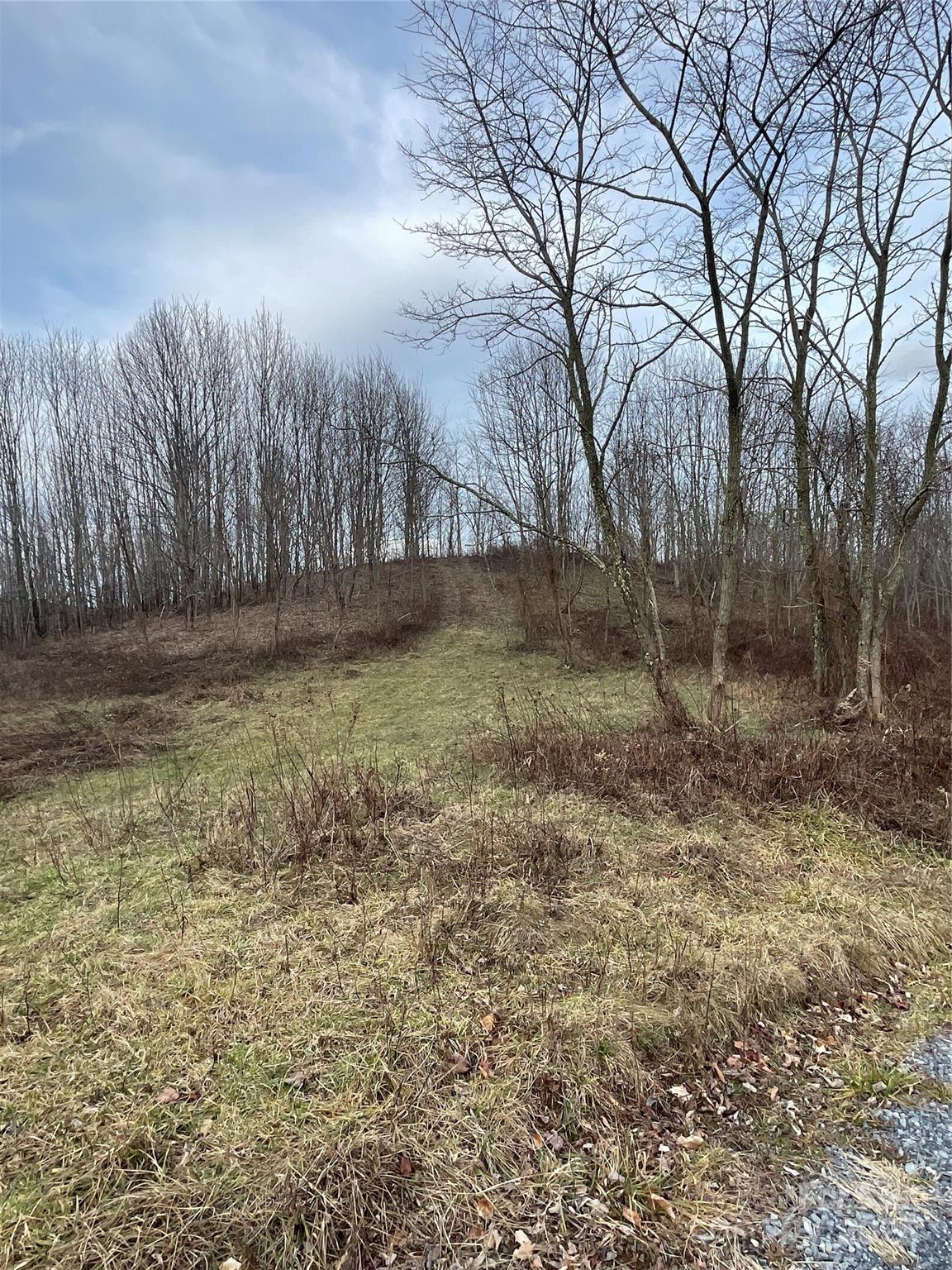 Tract 2 Turkey Trot Road Property Photo 35