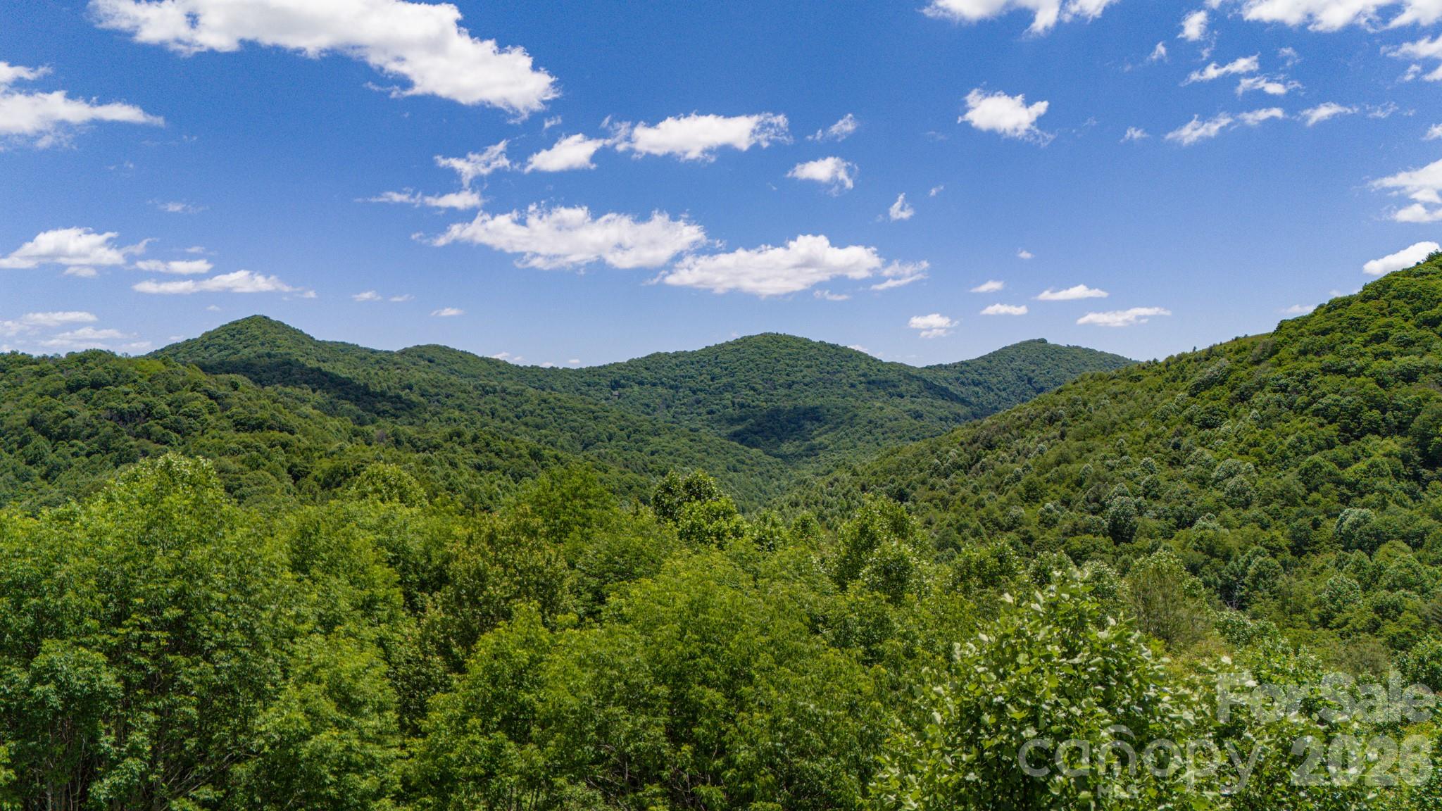 Tract 2 Turkey Trot Road Property Photo 35