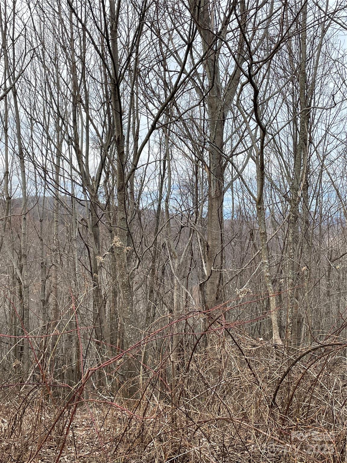 Tract 2 Turkey Trot Road Property Photo 36
