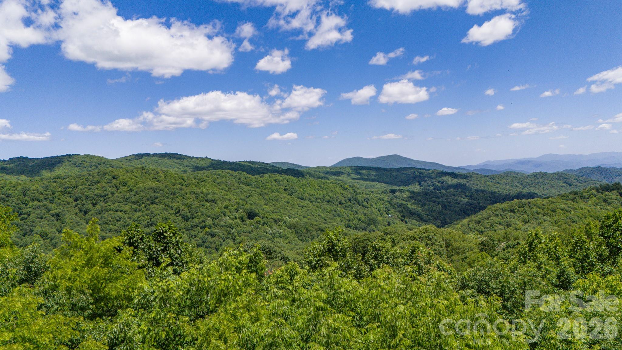 Tract 2 Turkey Trot Road Property Photo 37