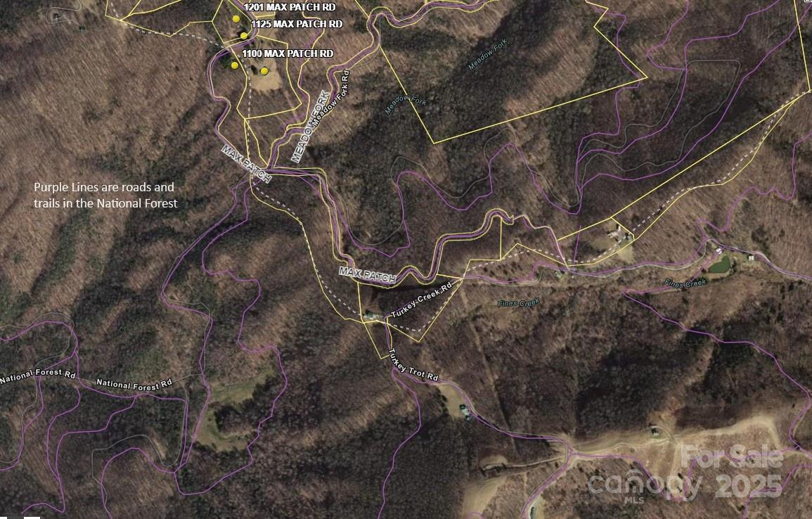 Tract 2 Turkey Trot Road Property Photo 38