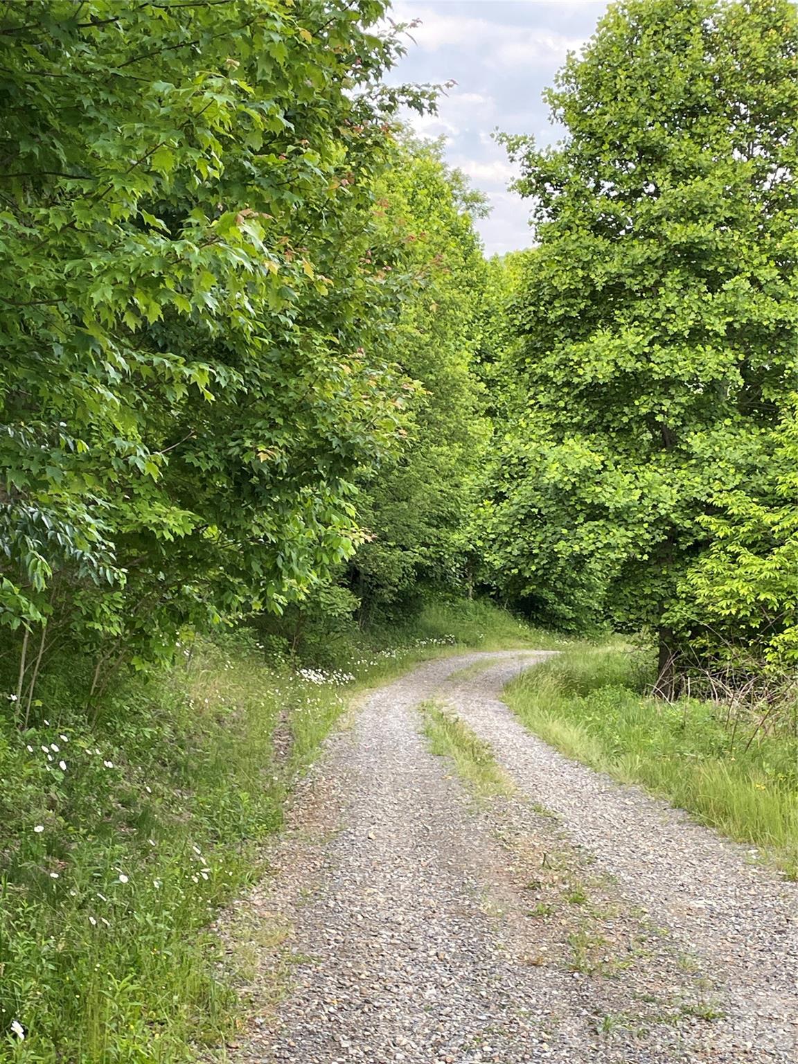 Tract 2 Turkey Trot Road Property Photo 38