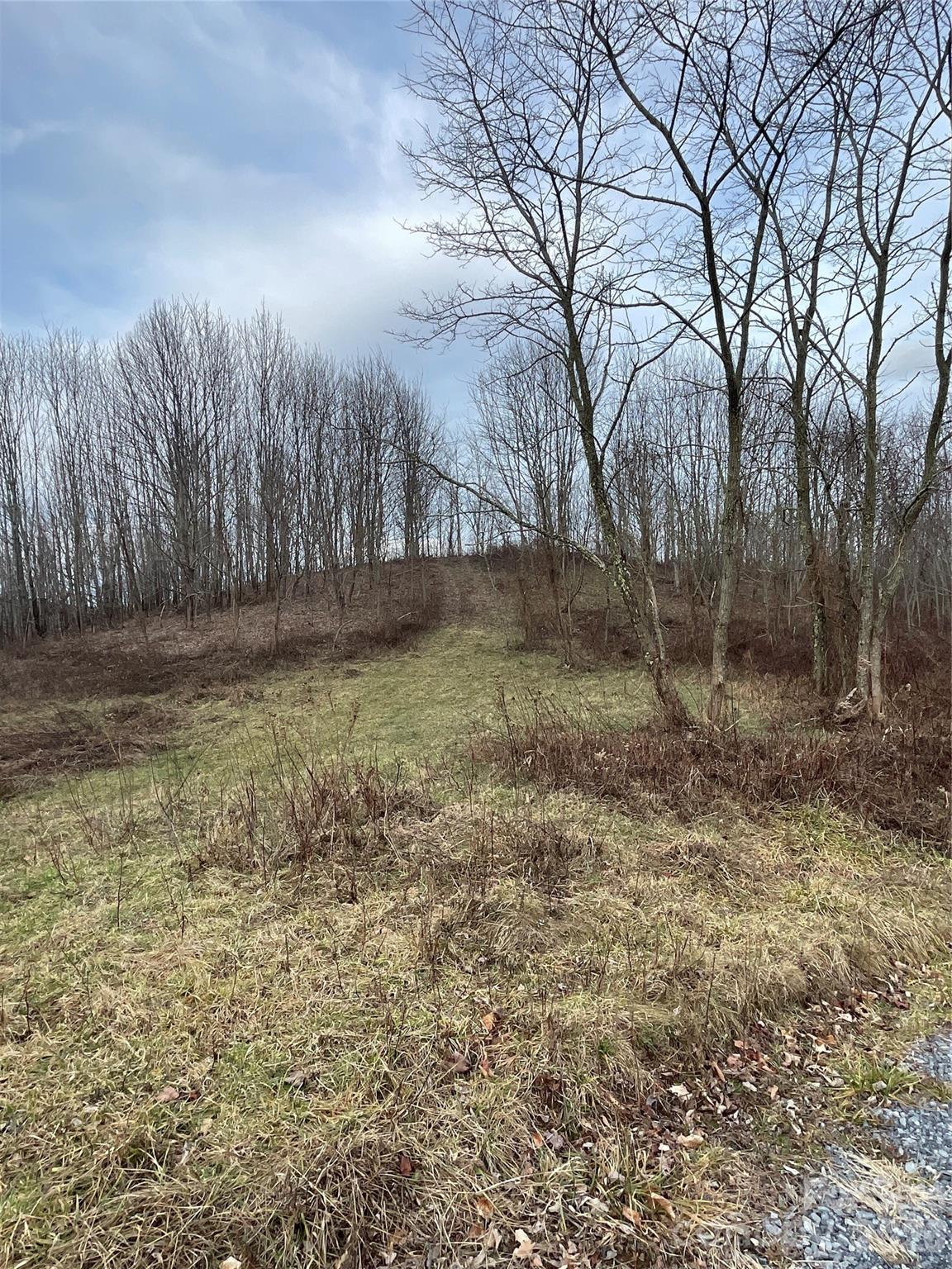 Tract 2 Turkey Trot Road Property Photo 39