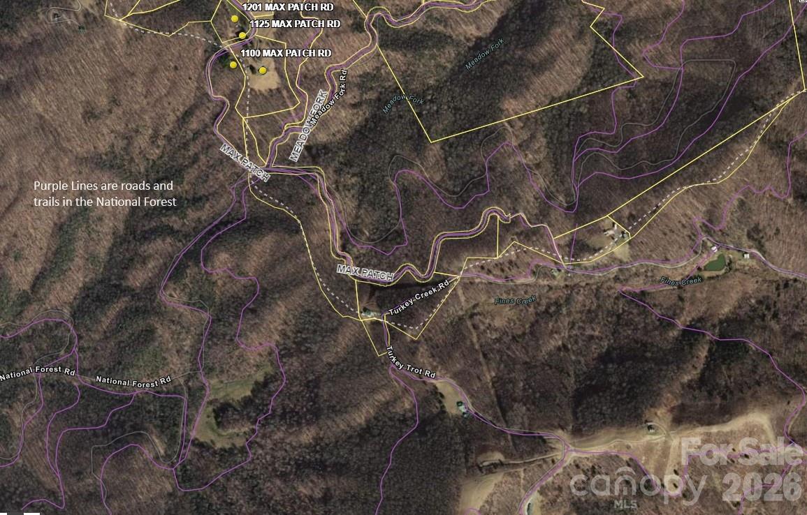 Tract 2 Turkey Trot Road Property Photo 42