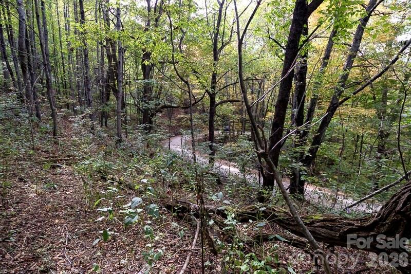 Tract 2 Turkey Trot Road Property Photo 47