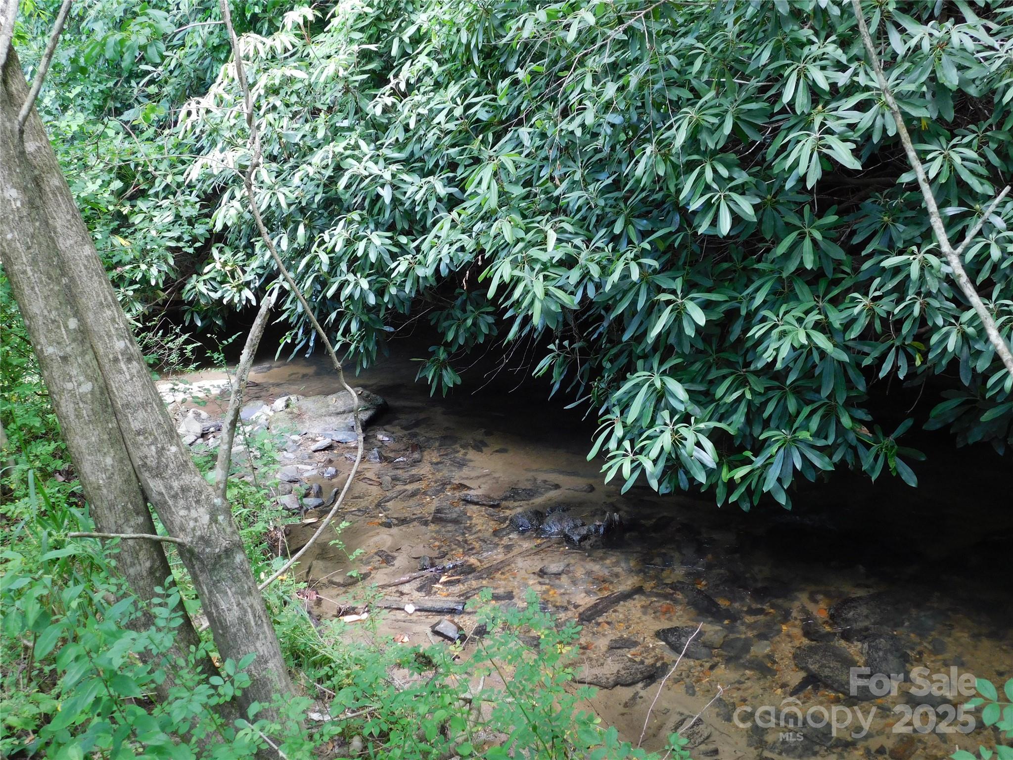 7320 Asheville Highway Property Photo 6